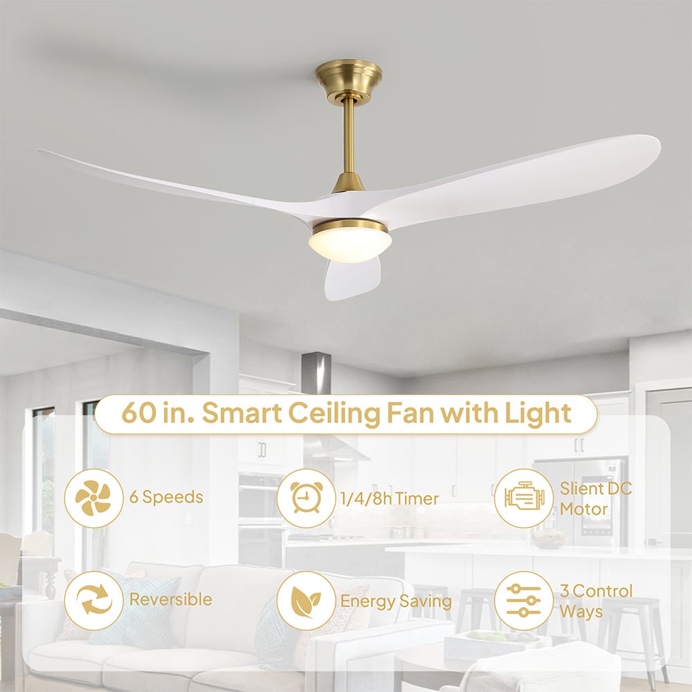 Sofucor LW-60K030SMTY-BG-WH Ceiling-Fans - View #8