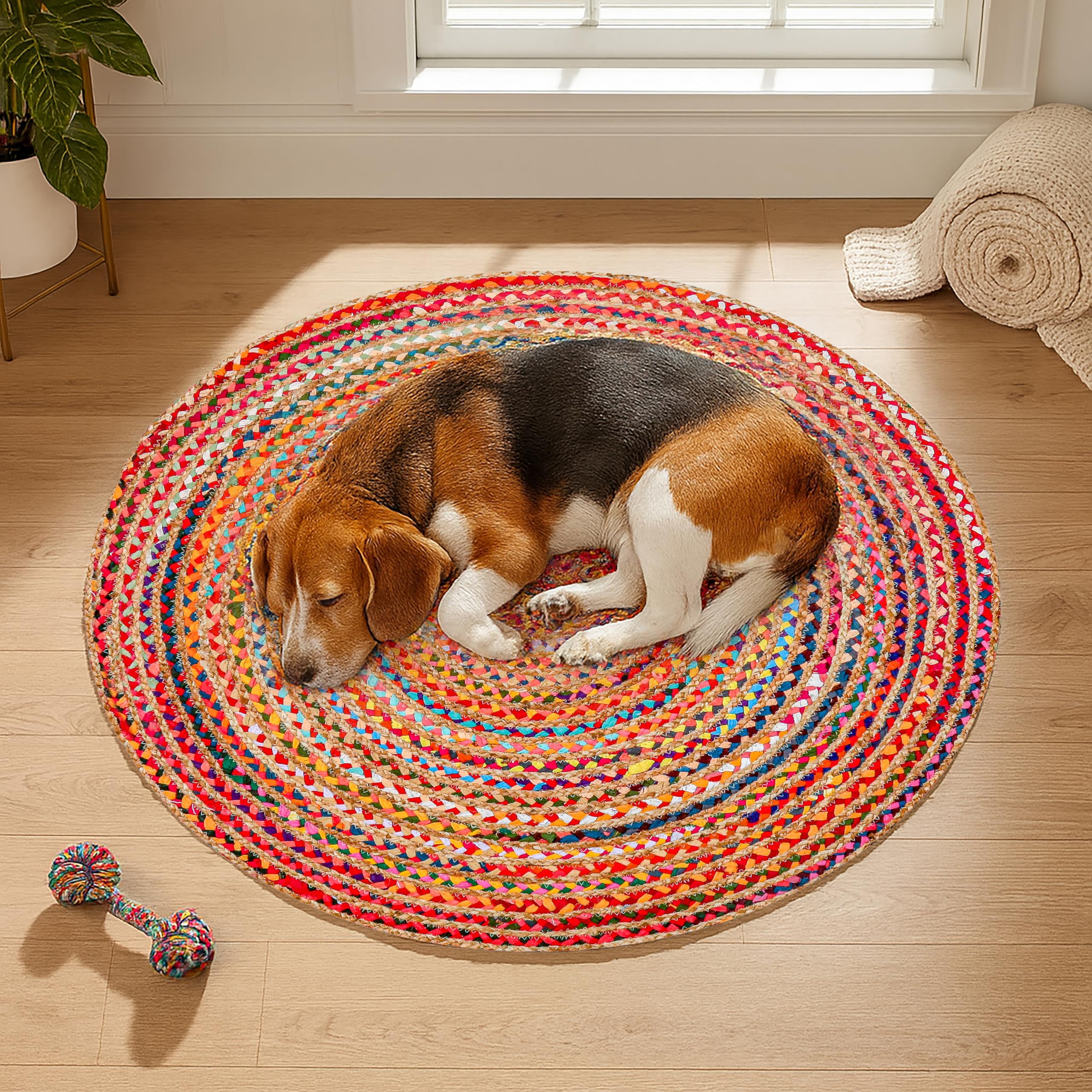 OMOMMD 5749848185382 rugs - View #4