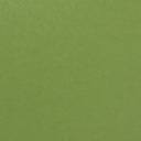 Fresh Green