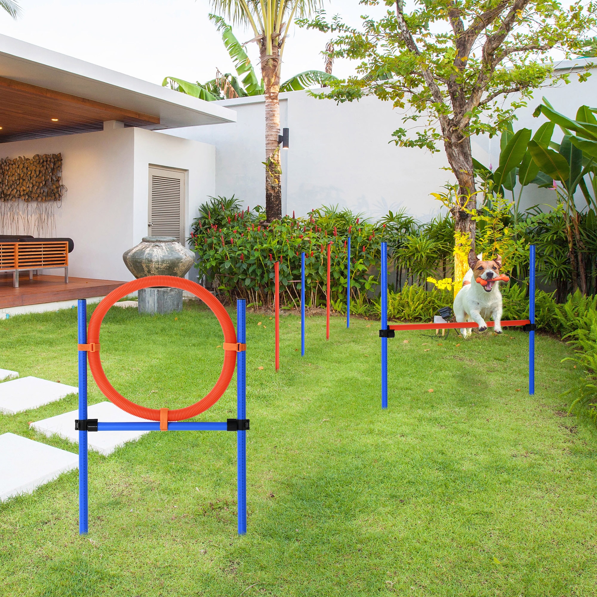PawHut D07-002 Dog-Park-Agility-Course-Kits - View #2