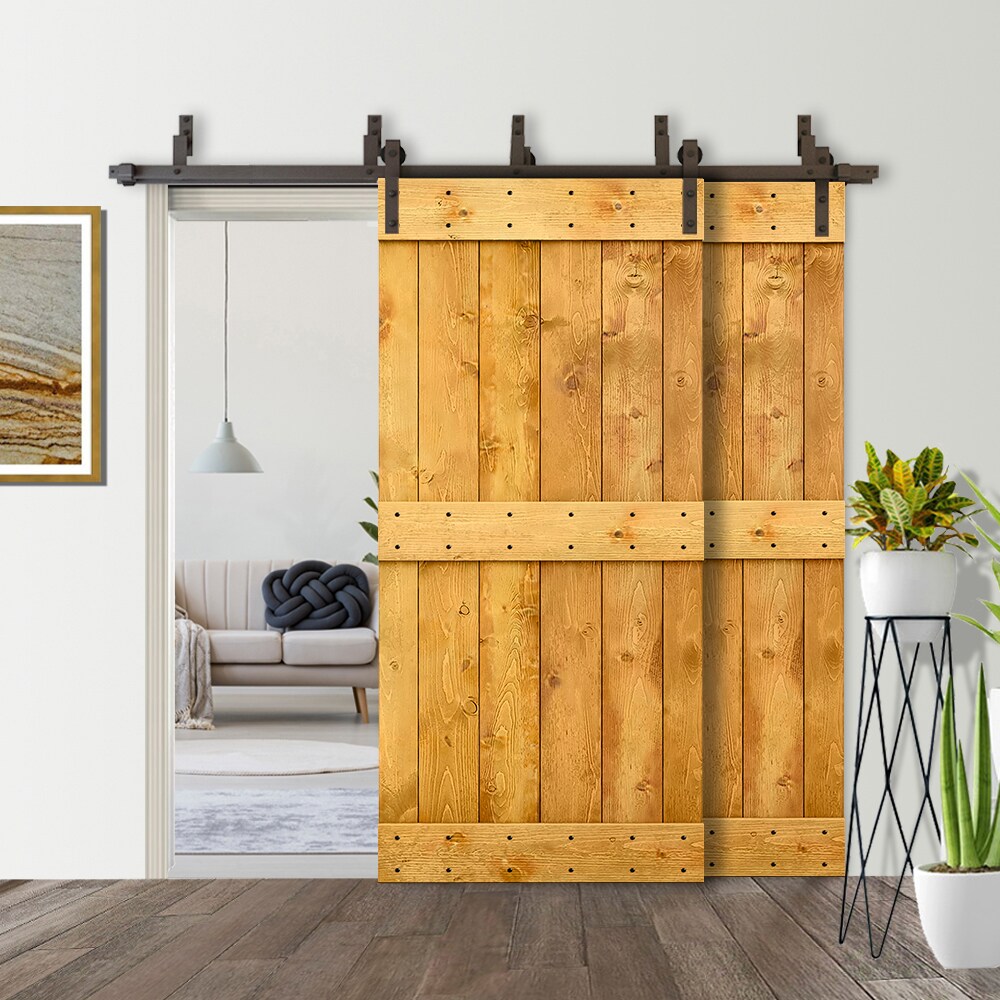 CALHOME 5XBP+S79+(2)03-30AT Barn-Doors - View #6