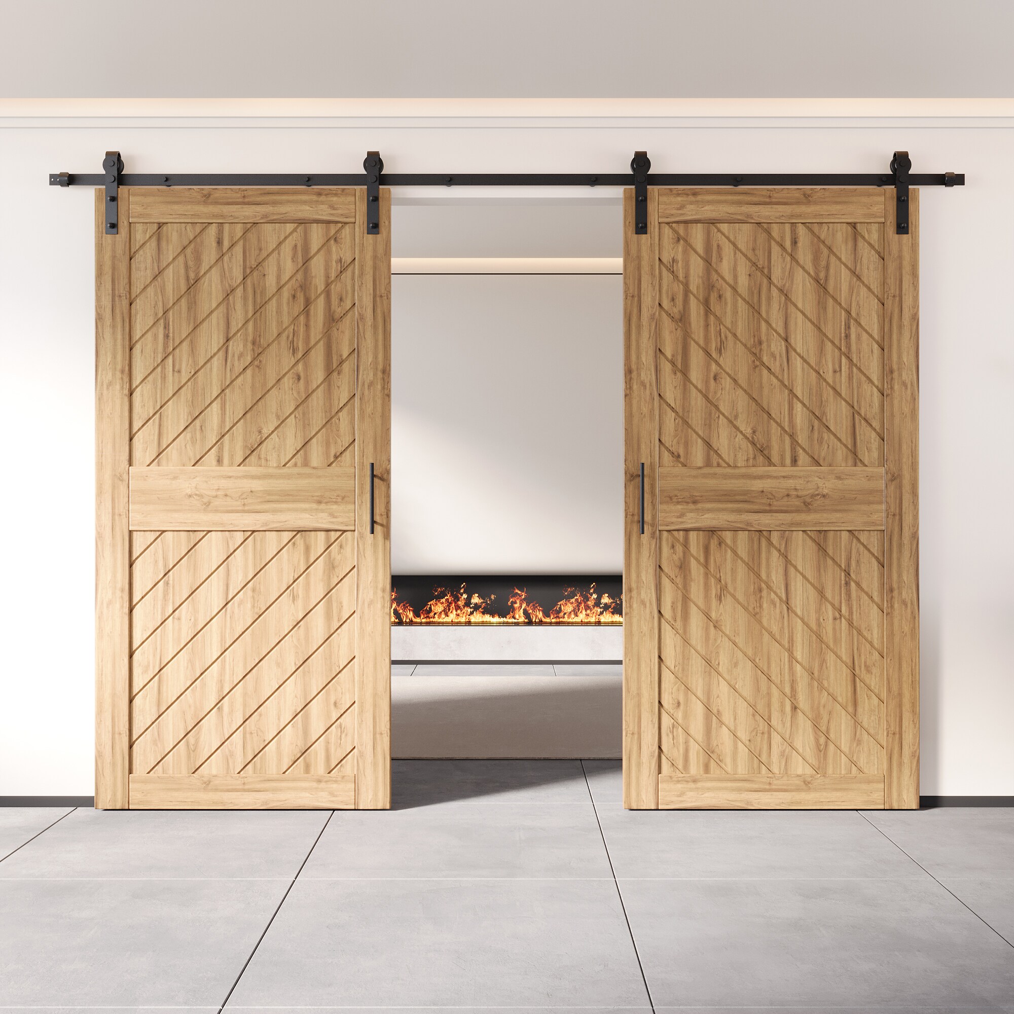 HOMACER YT2TGH156C-XT1-3684 Barn-Doors - View #8