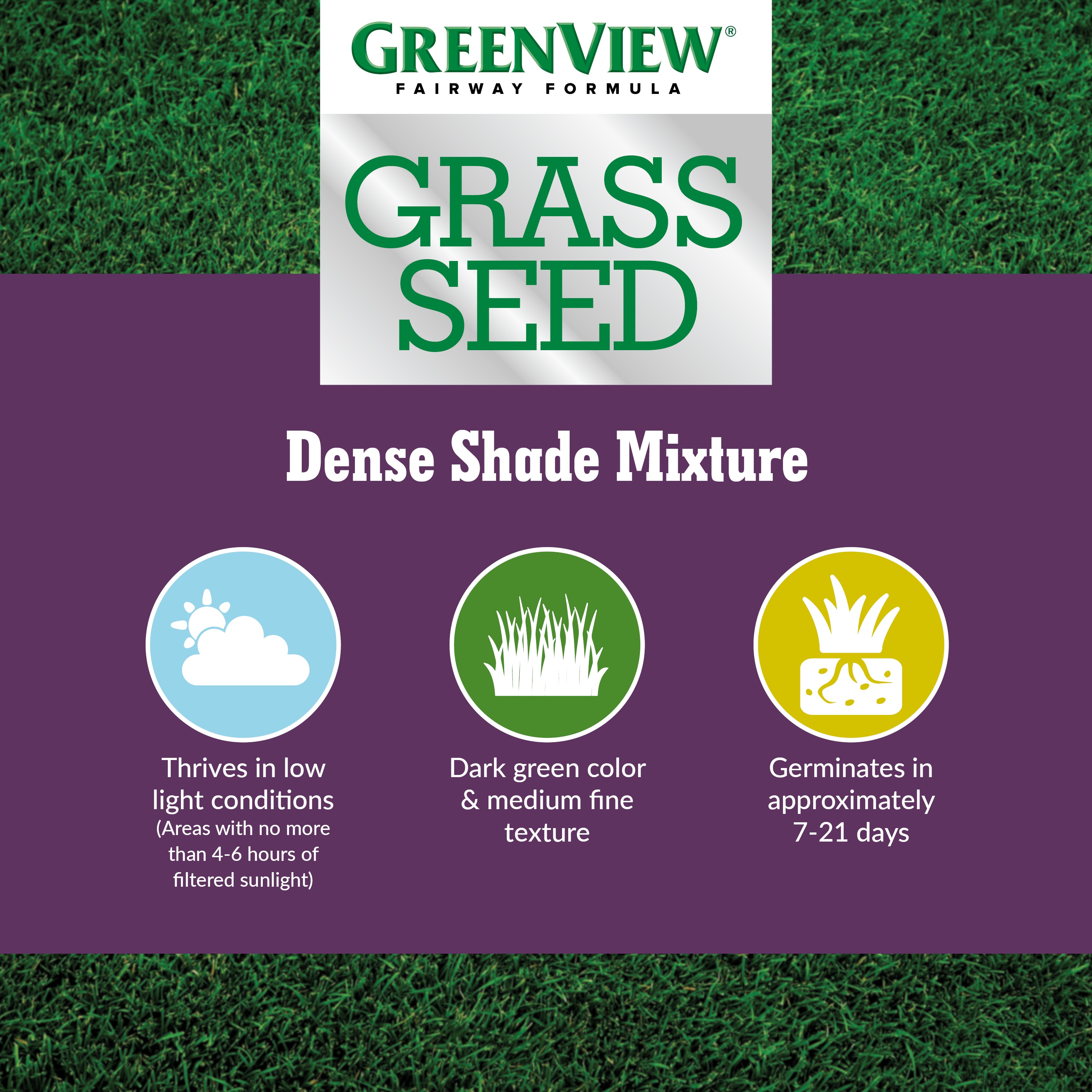 Shop Greenview Fairway Formula Dense Shade Grass Seed with
