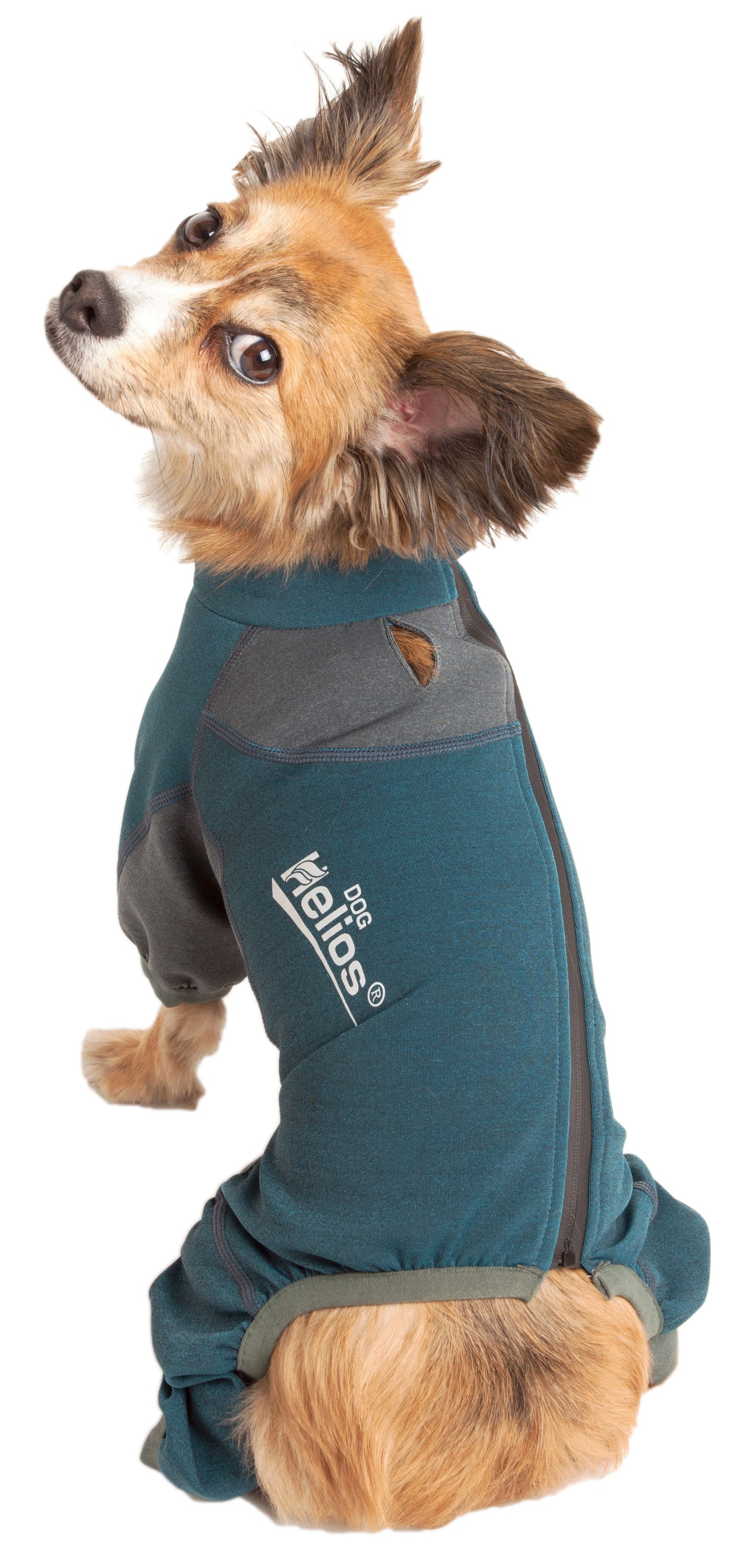 Dog Helios YGHL8BLXS Dog-Apparel - View #2