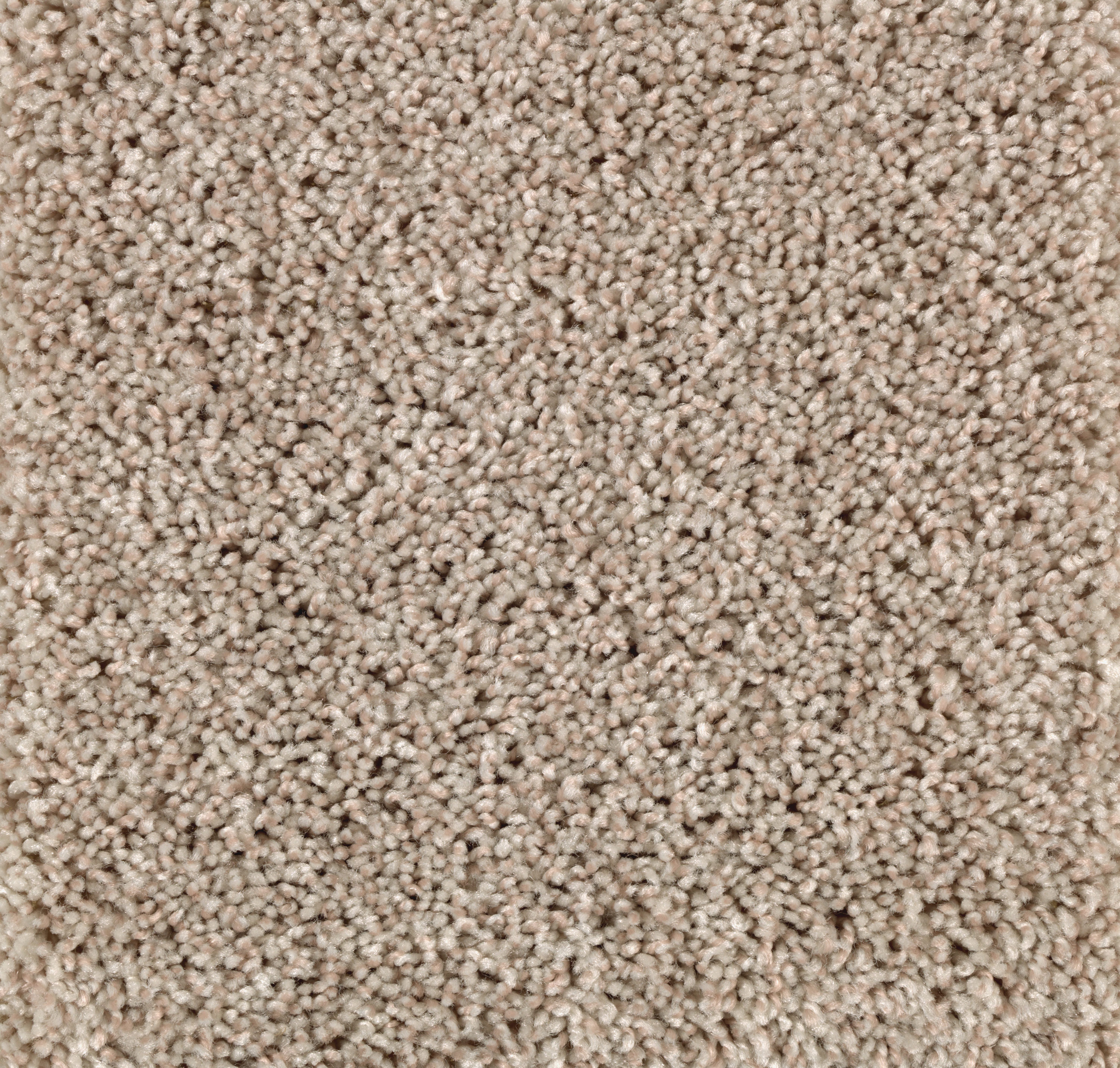 Style Selections CCV06-12-L005 Express Install Franklin Place Bleached Wool Tan 40-oz sq yard Polyester Textured Indoor Carpet