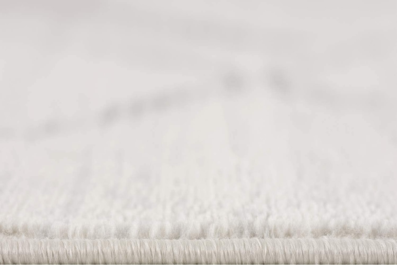 HomeRoots 4000392896 rugs - View #10