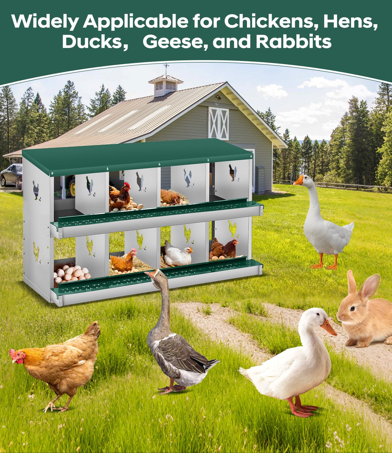 DEXSO H-WG-SB6CWB1JQN Chicken-Coops-Rabbit-Hutches - View #2