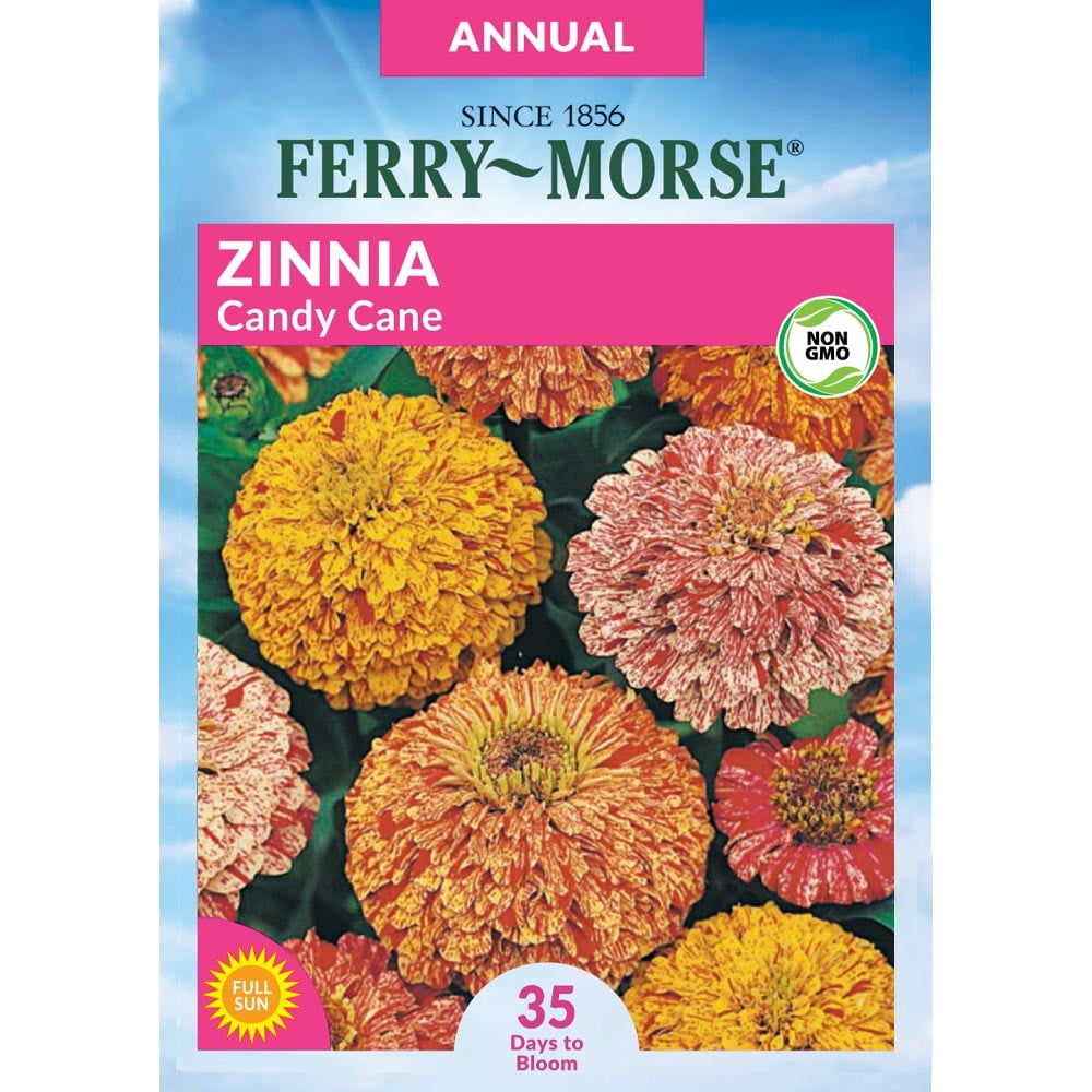 Ferry-Morse 913023.219.640370 Zinnia Candy Cane Flower Seeds 0.6 Gram(s)