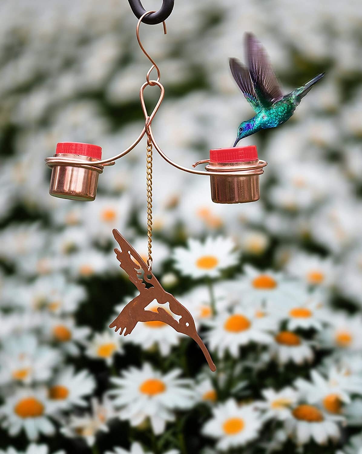 Monarch Abode Copper Bird Feeders Metal Hanging Nectar Bird Feeder- 0.2 ...