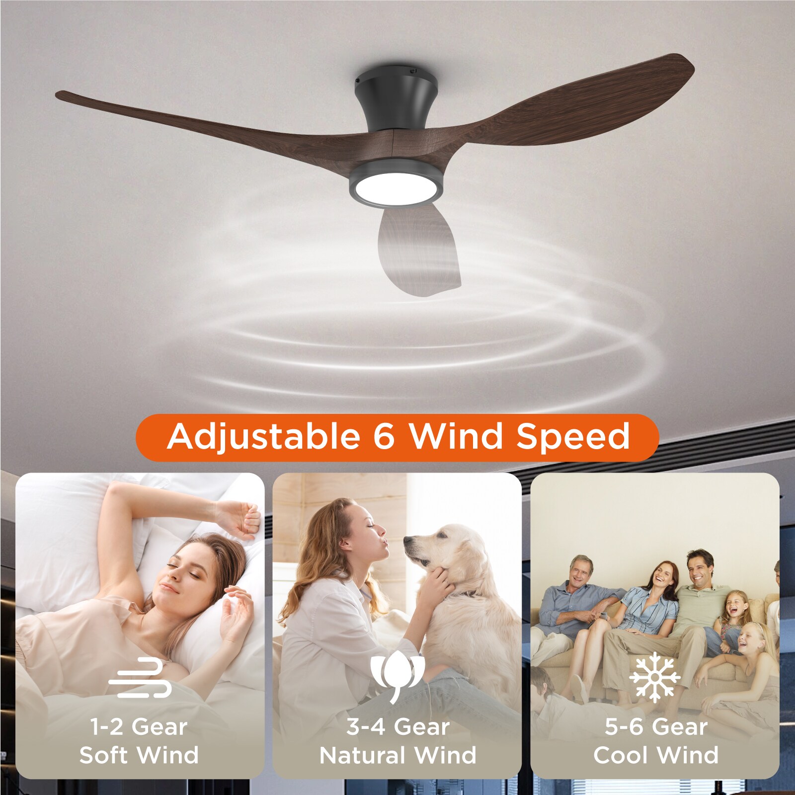 TALOYA TLY-RT-BW-X52 Ceiling-Fans - View #6
