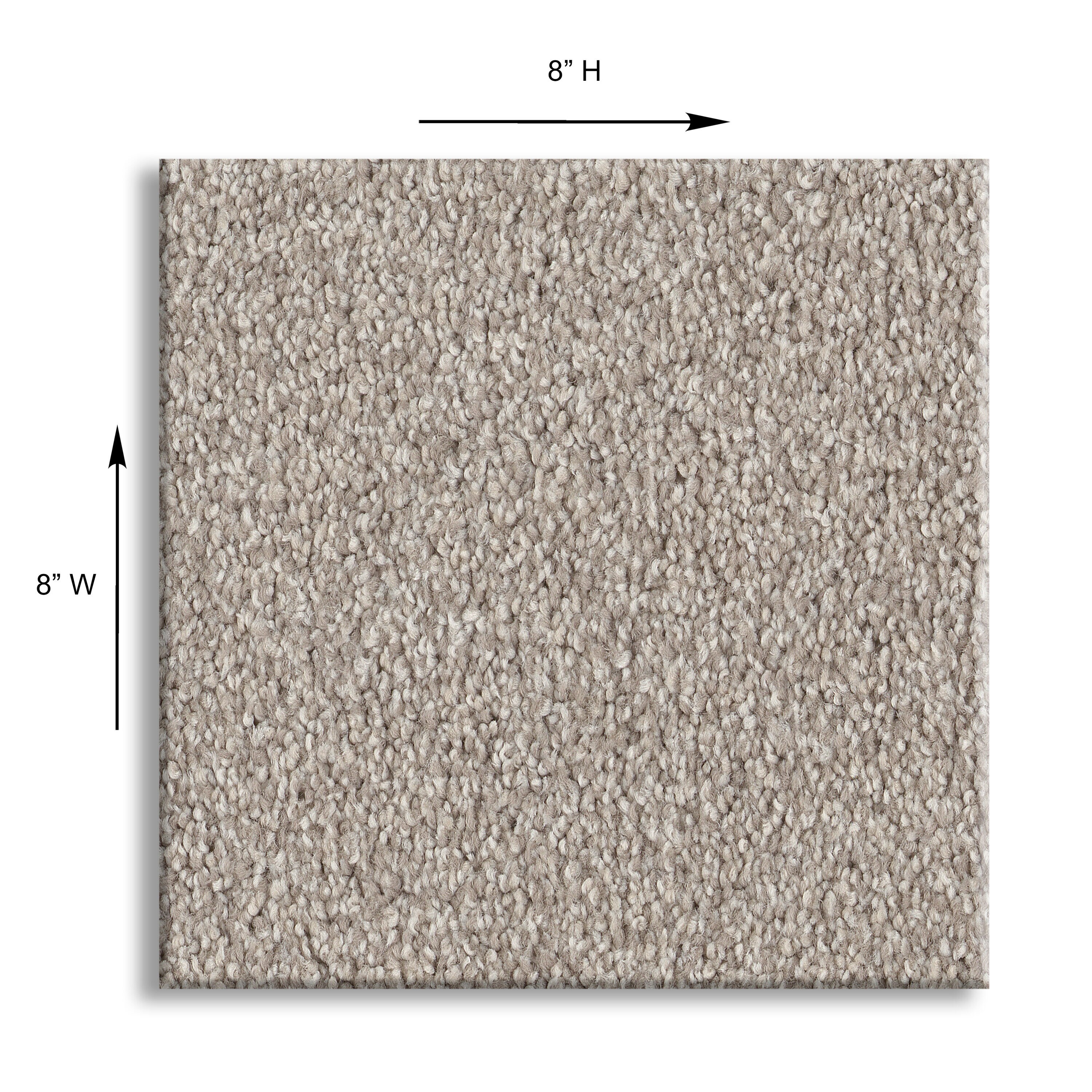 STAINMASTER 7L798-128T-SAMP Carpet-Samples - View #5