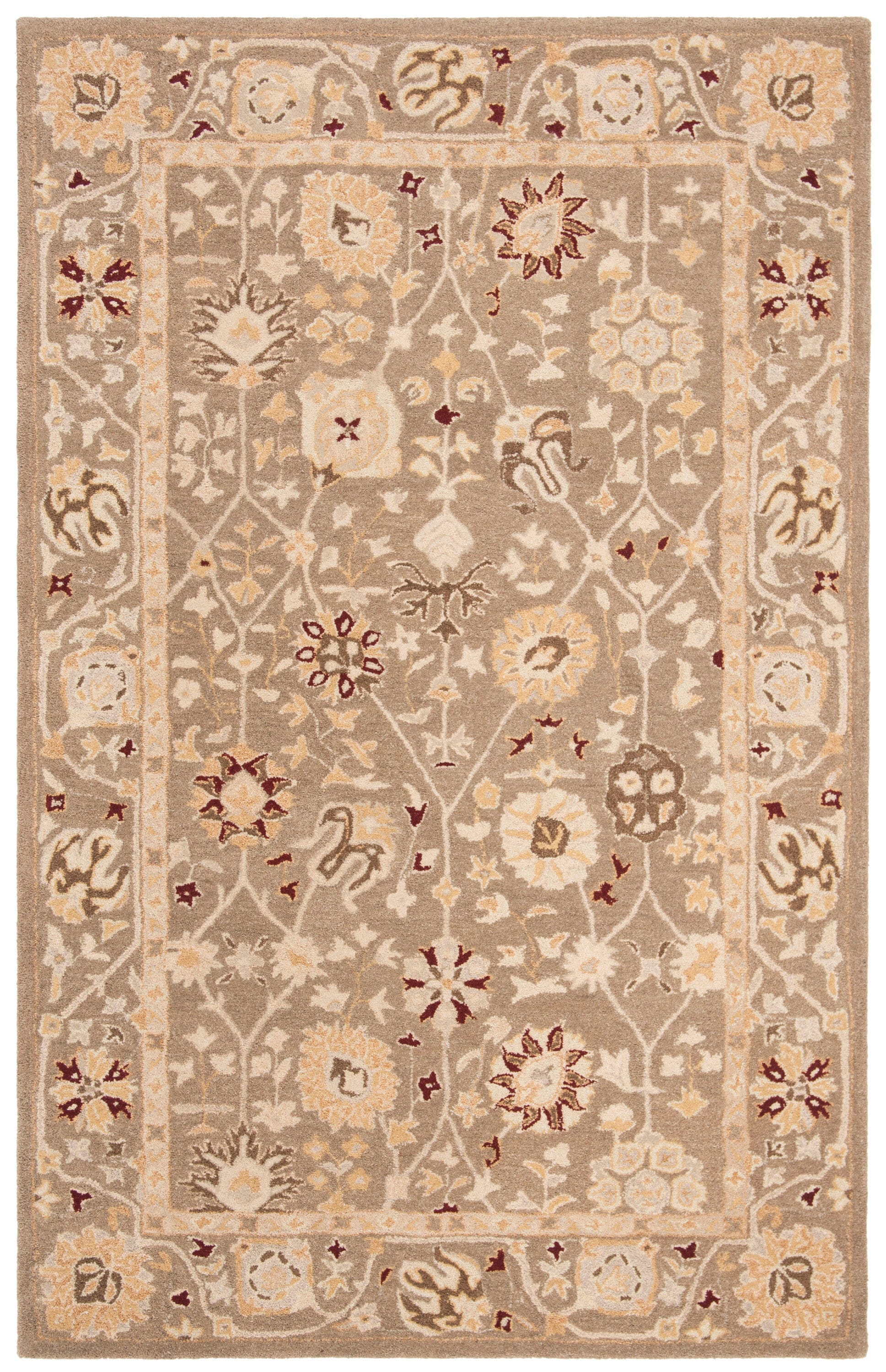 Safavieh AN559A-5 rugs - View #2