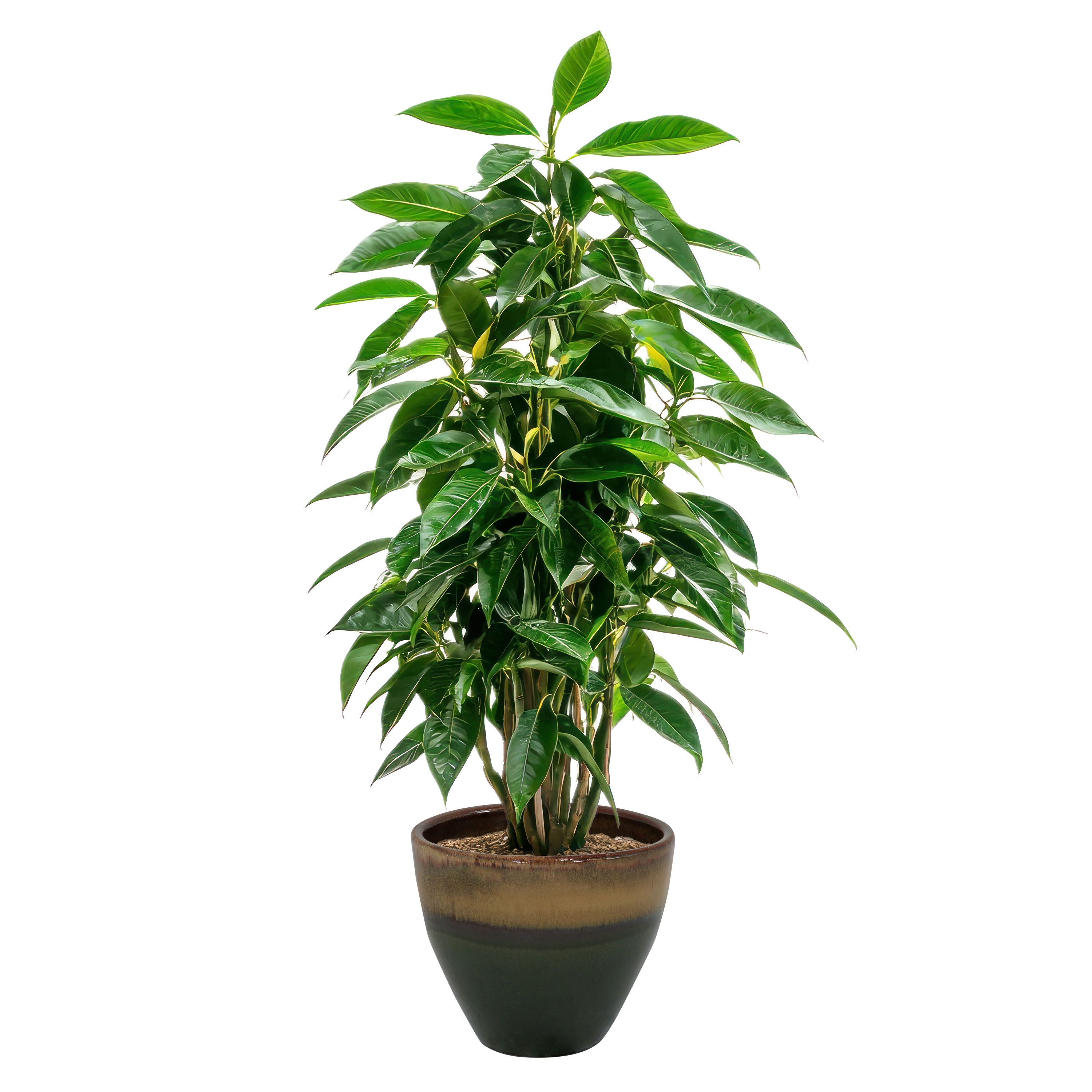 Sunnydaze Decor AP-084 Planter-Window-Box - View #7