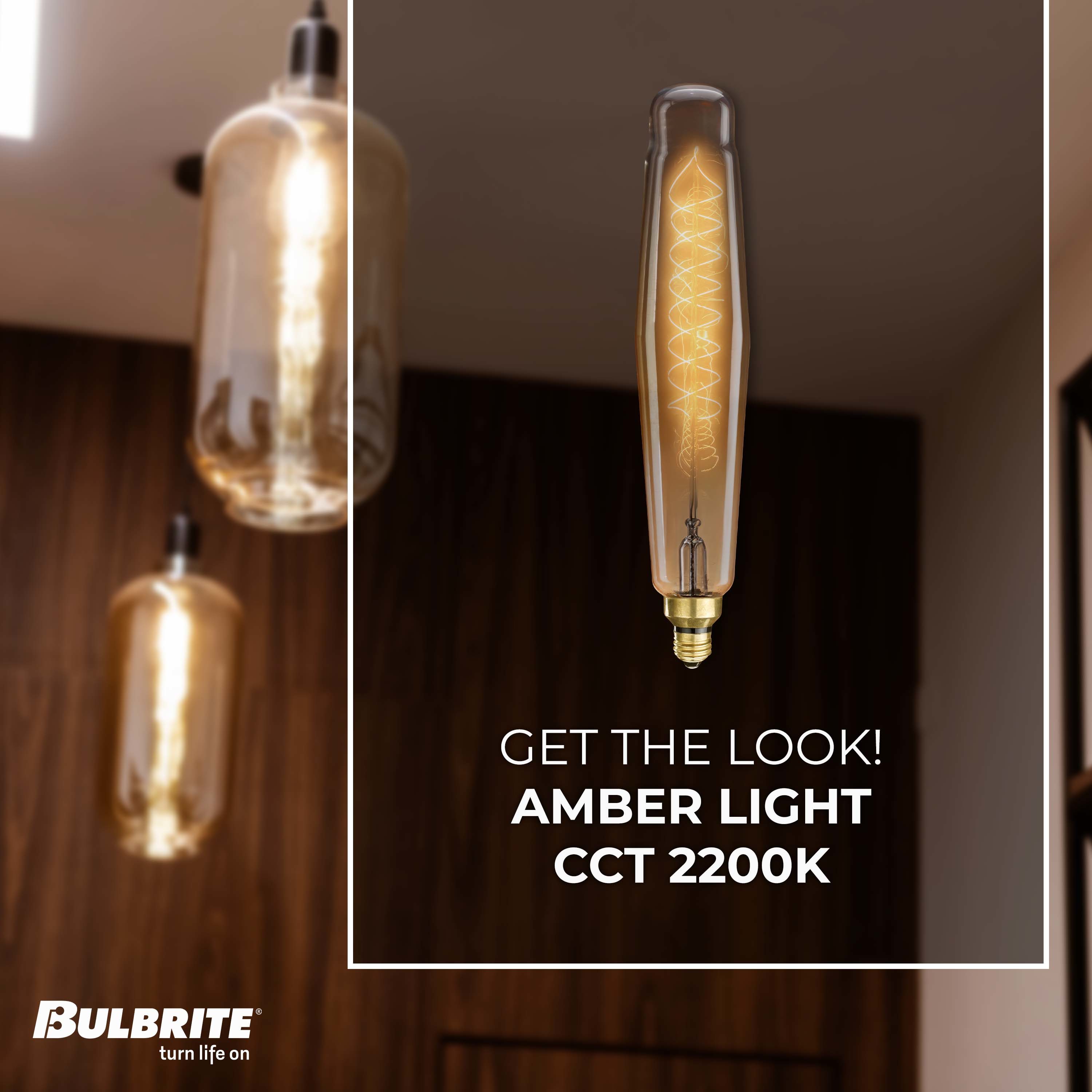 Bulbrite 137301 Dec-Led-Light-Bulbs - View #3
