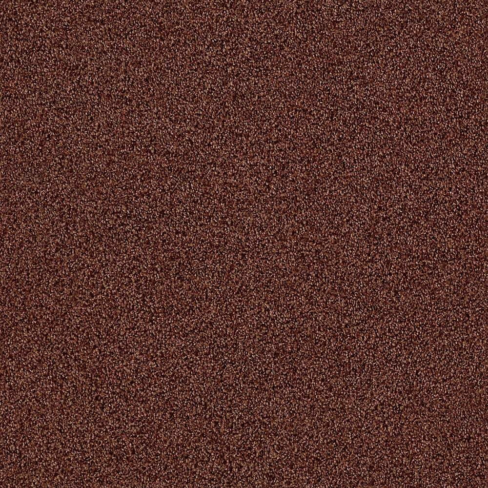 Stainmaster (sample) Livewell Vigorous I Wooly Bear Textured Carpet At 