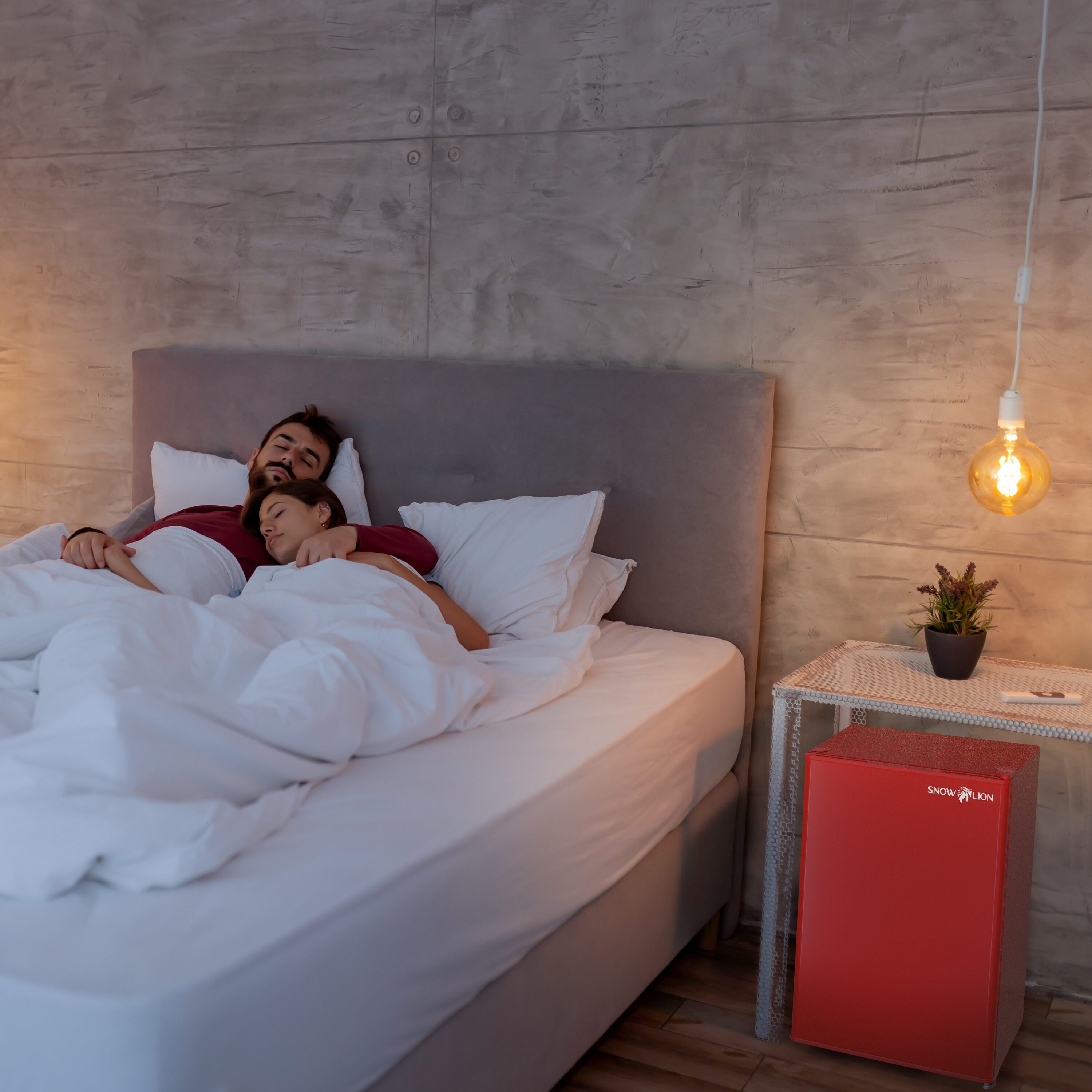 SnowLion OSFS013-RL m050615 - View #6