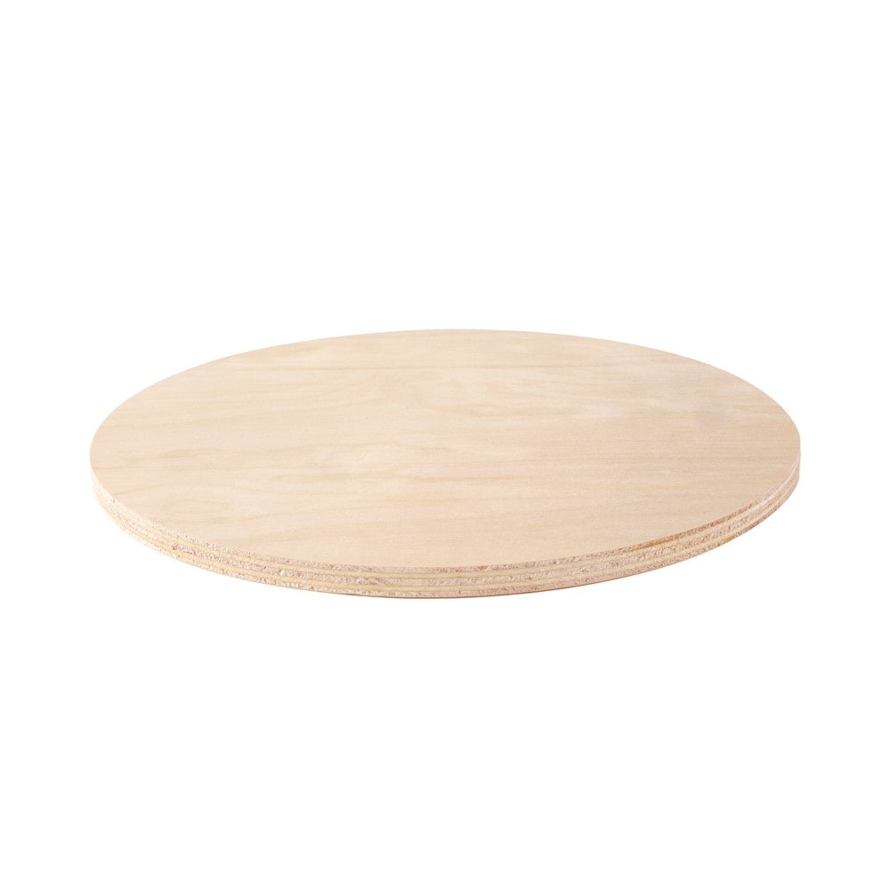  [Upgraded] 8 Pieces 1/4 Thick 12 Inch Round Wood