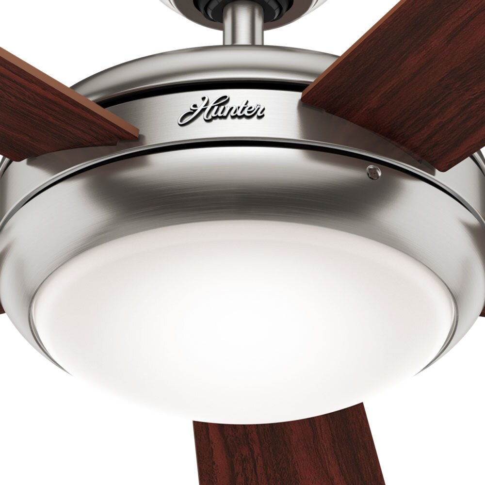 Hunter 59052 Ceiling-Fans - View #9