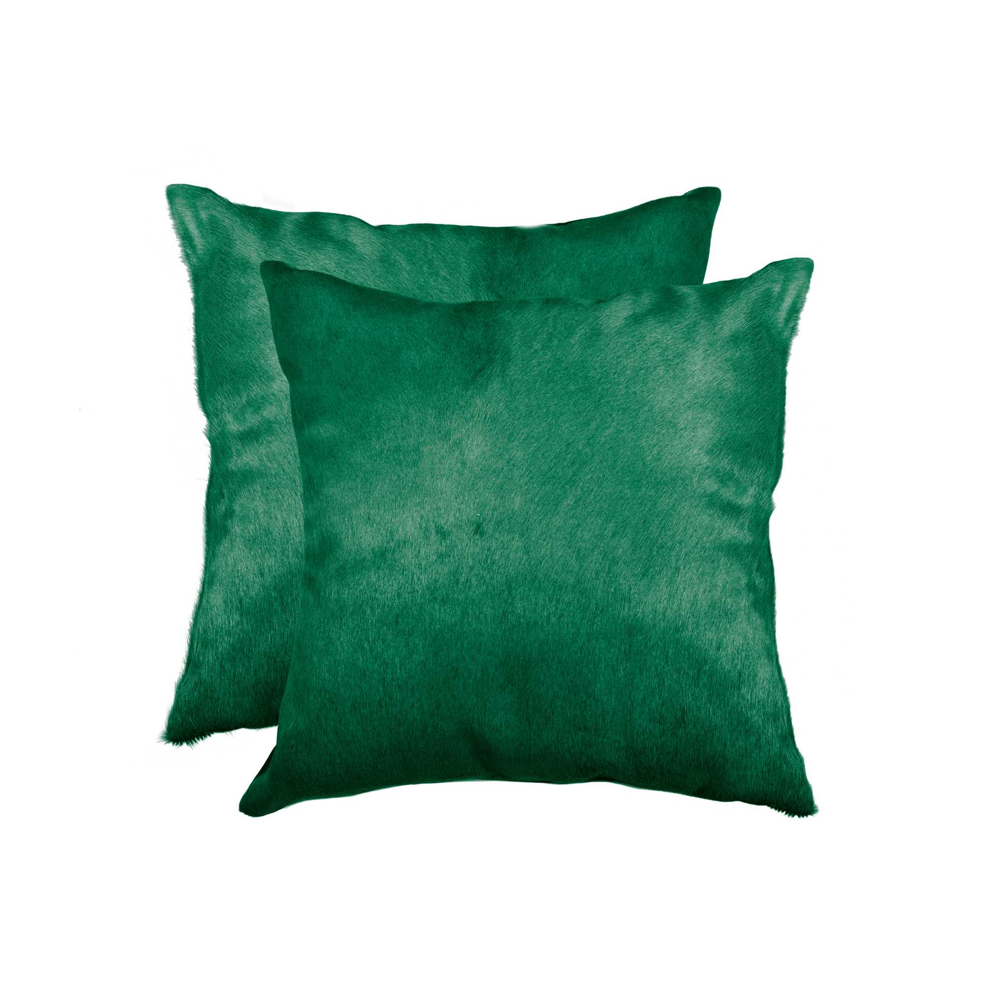 HomeRoots 317120 2 -Piece 18-in x 18-in Verde Square Indoor Decorative Pillow