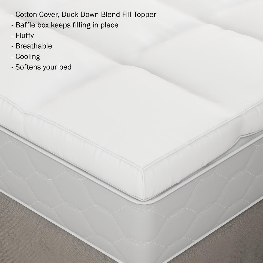 Hastings Home 14-in D Cotton Queen Encasement Mattress Cover with Bed Bug  Protection