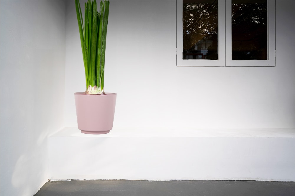 allen + roth LUCR02121N-04P2 Planter-Window-Box - View #4