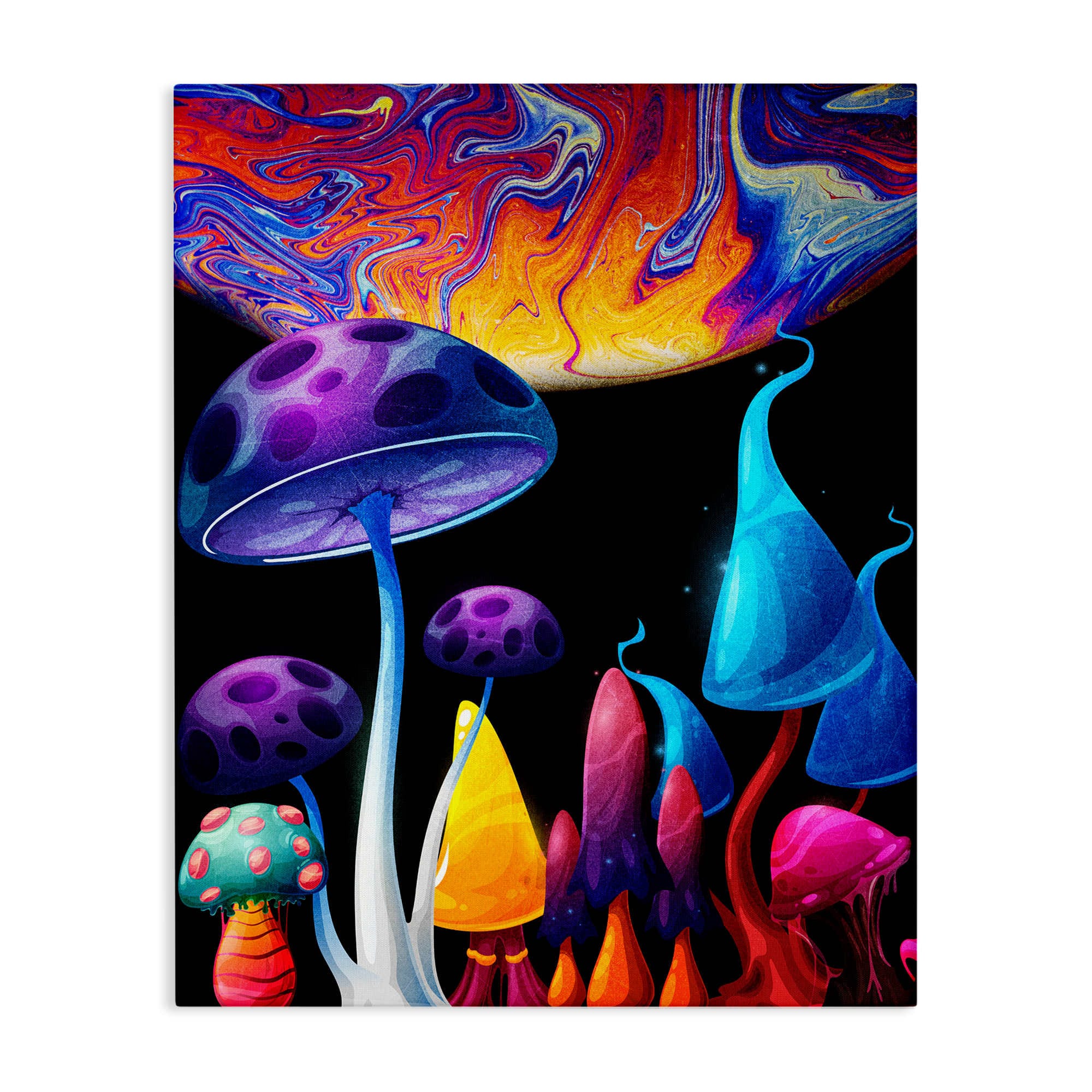 Stupell Industries BS-075-CN-36X48 Whimsical Mushrooms in Space Canvas Wall Art By Kim Allen 36 x 48