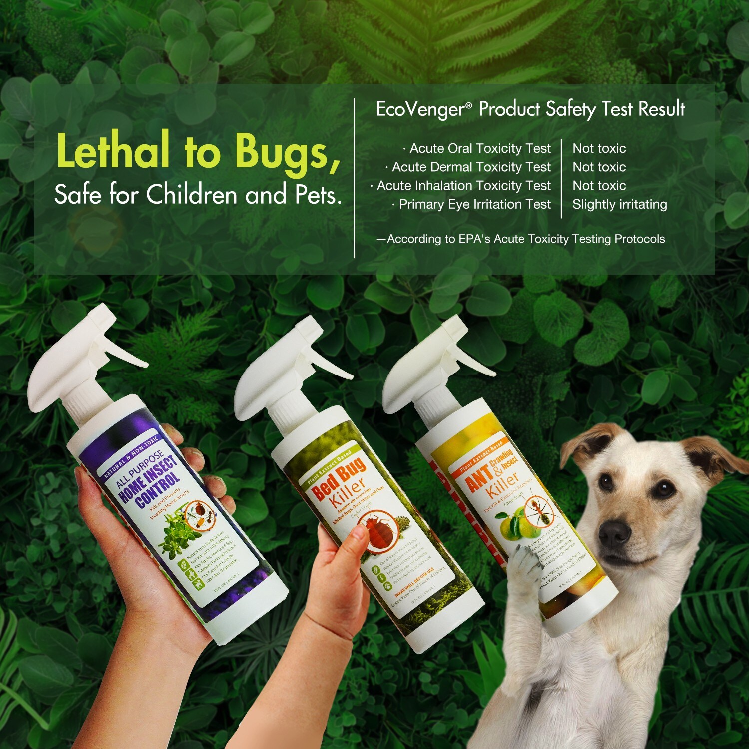 EcoVenger EB1BBK001GLWS pesticides - View #11