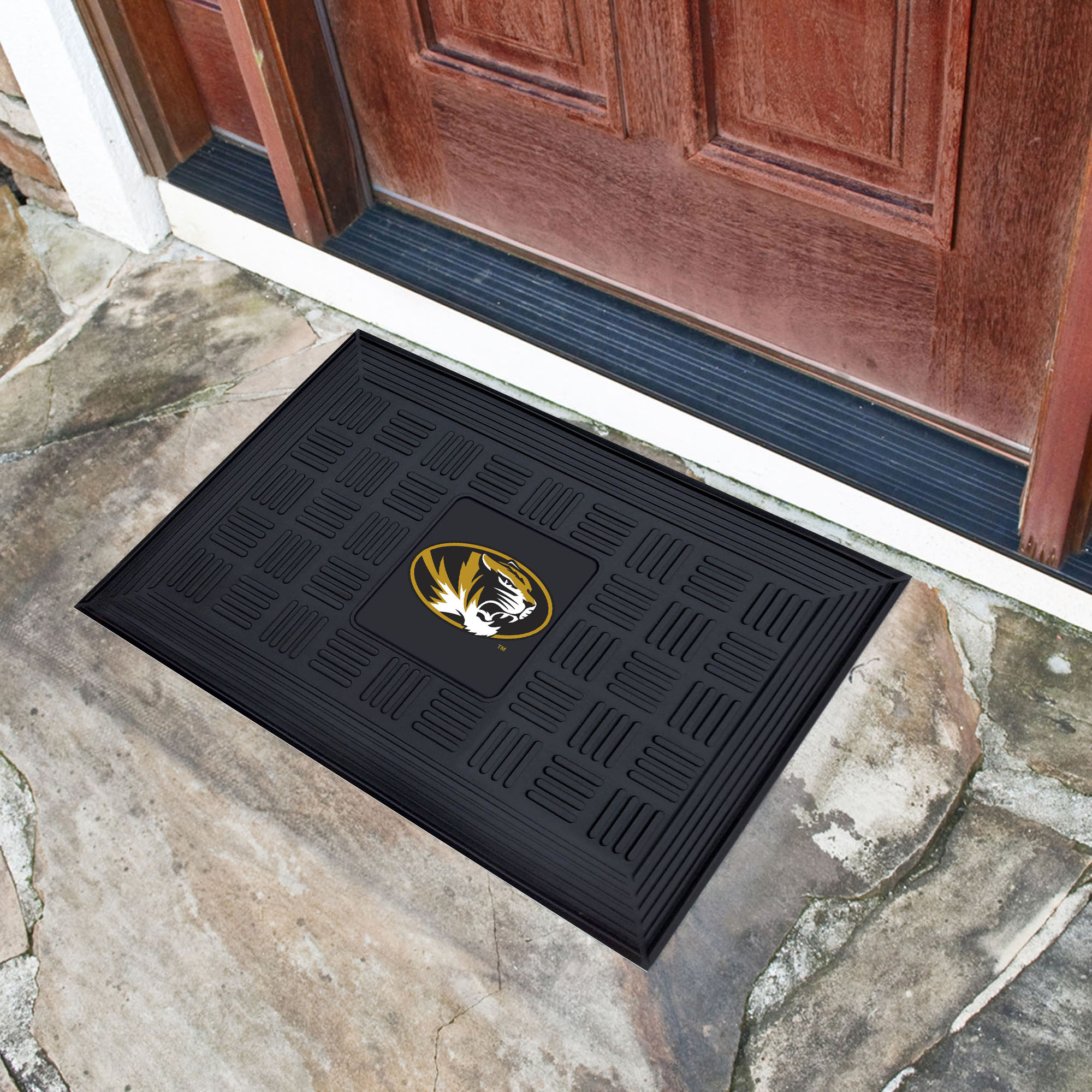  11367 Mats-Cat - View #2