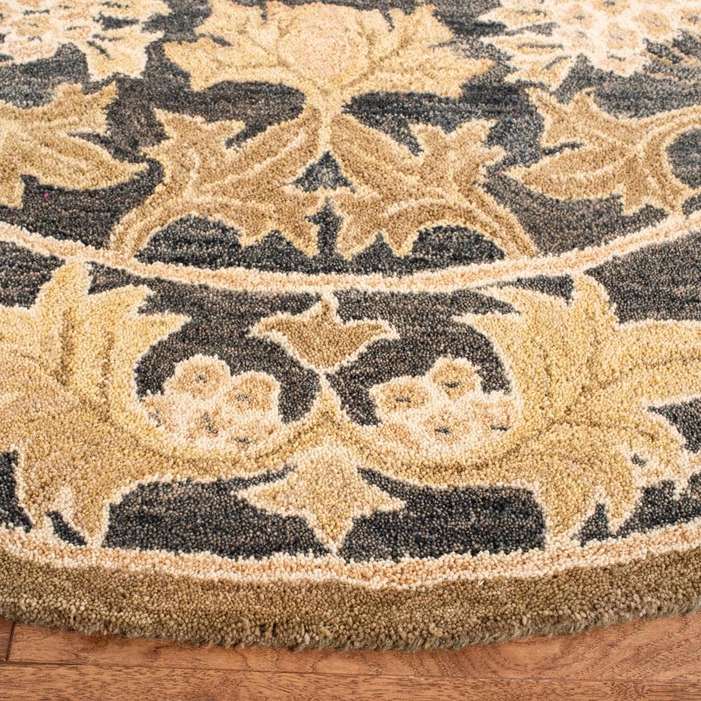 Safavieh AN541A-6R rugs - View #3