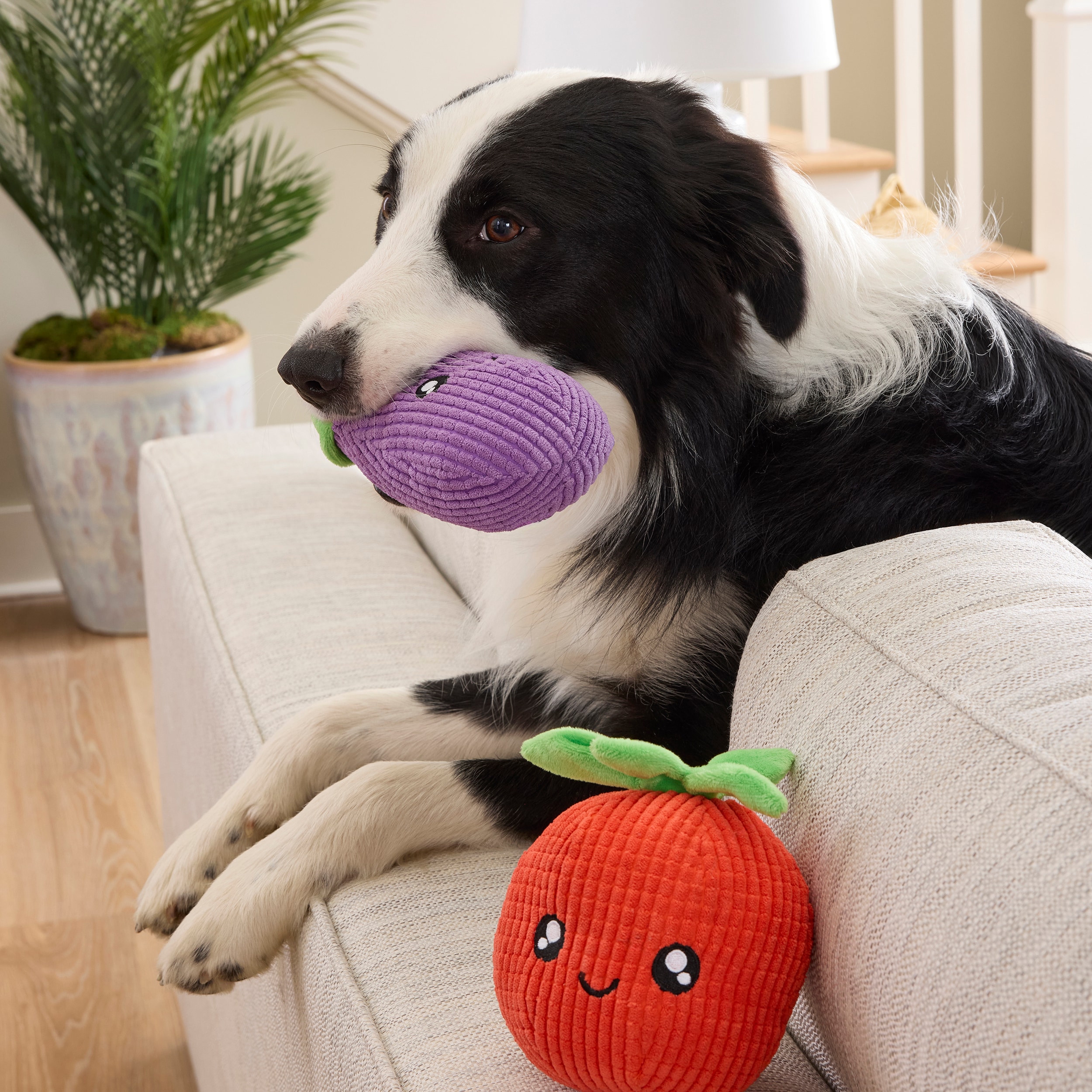 Heart & Herd YC26101 Dog-Toys - View #8