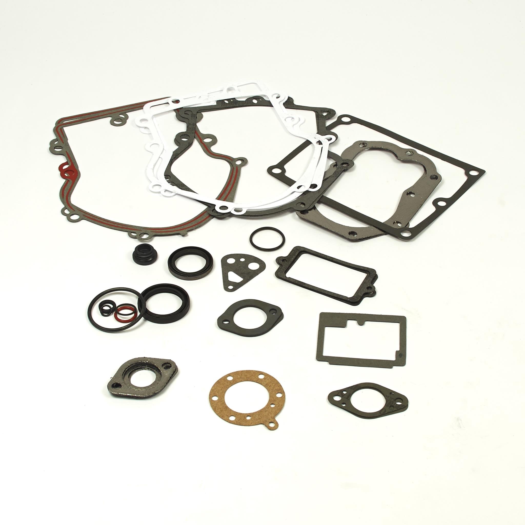 EgalBest Replacement Gasket Set Motorbike Gasket for Briggs and Stratton 391834/492653 Includes Seals