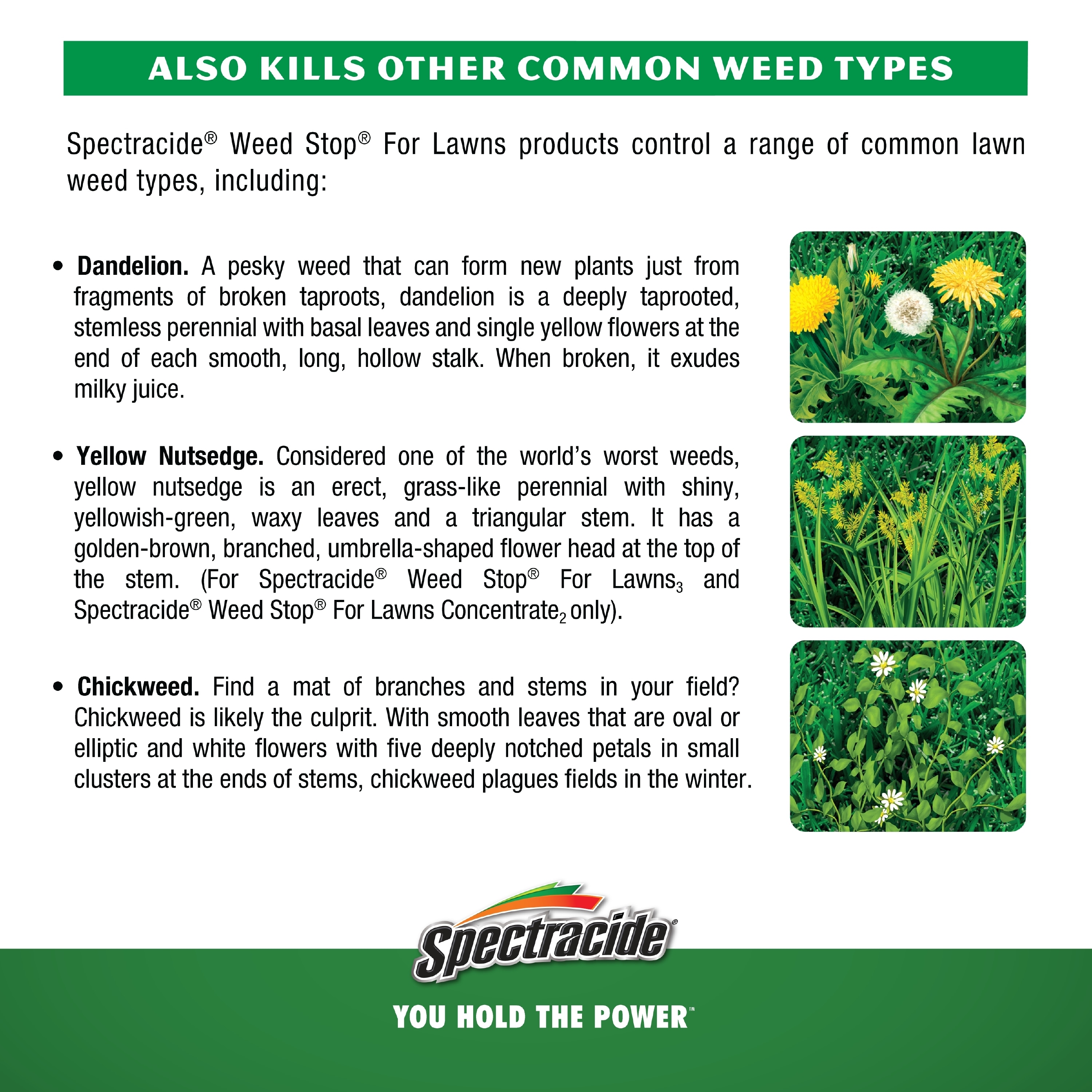 Spectracide HG-96632 Weed-Killers - View #4