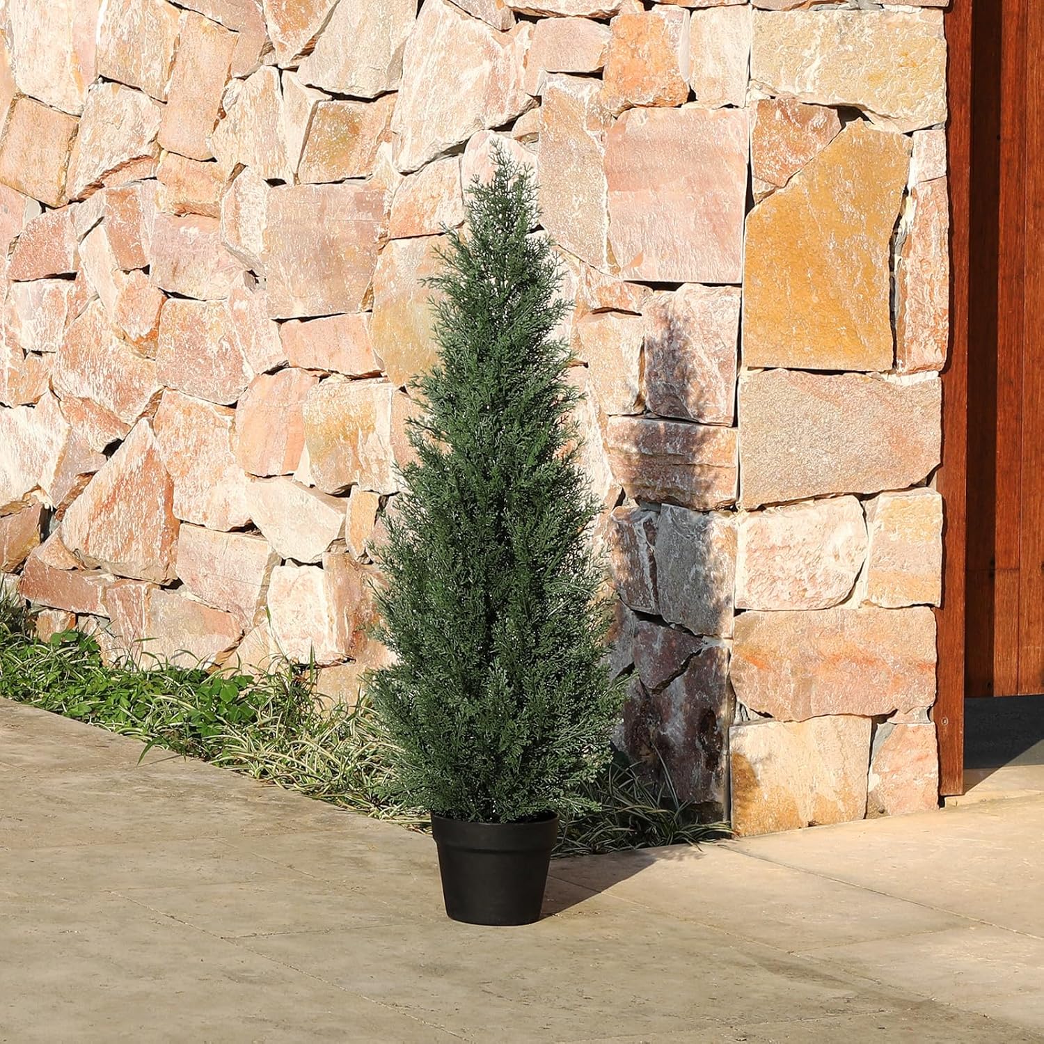 Zyerch KAZEILA-B70 Artificial-Plants-Trees - View #4