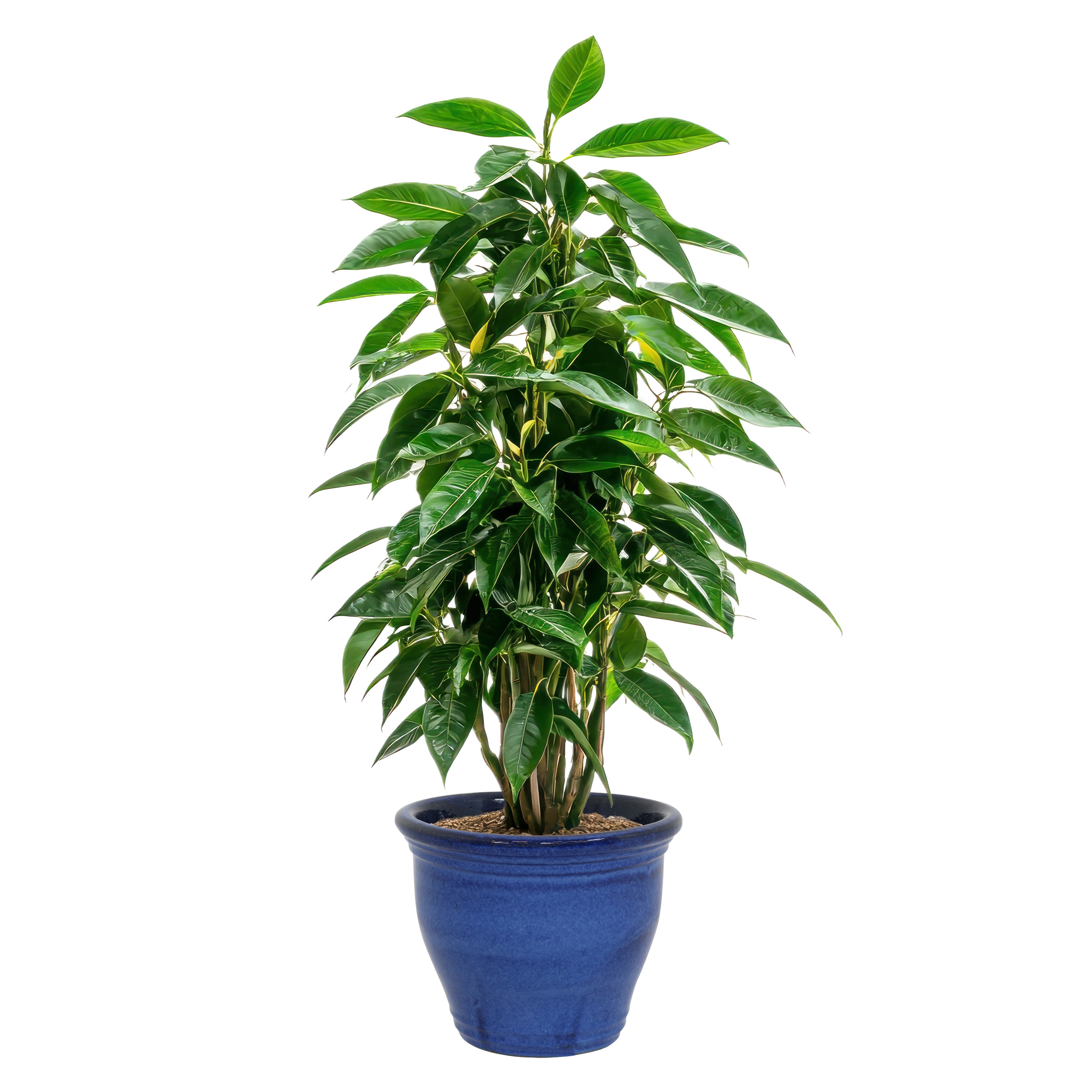 Sunnydaze Decor AP-971 Planter-Window-Box - View #7