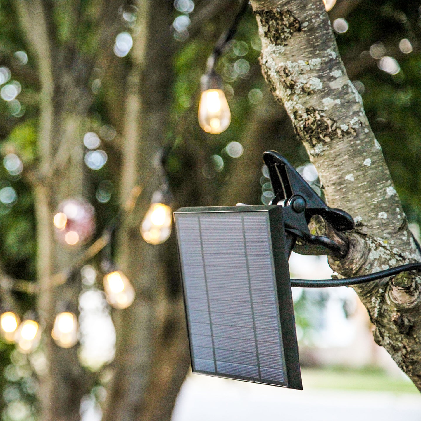 Brightech SLR-PNL-RMTE Portable-Solar-Panel-Acces - View #5