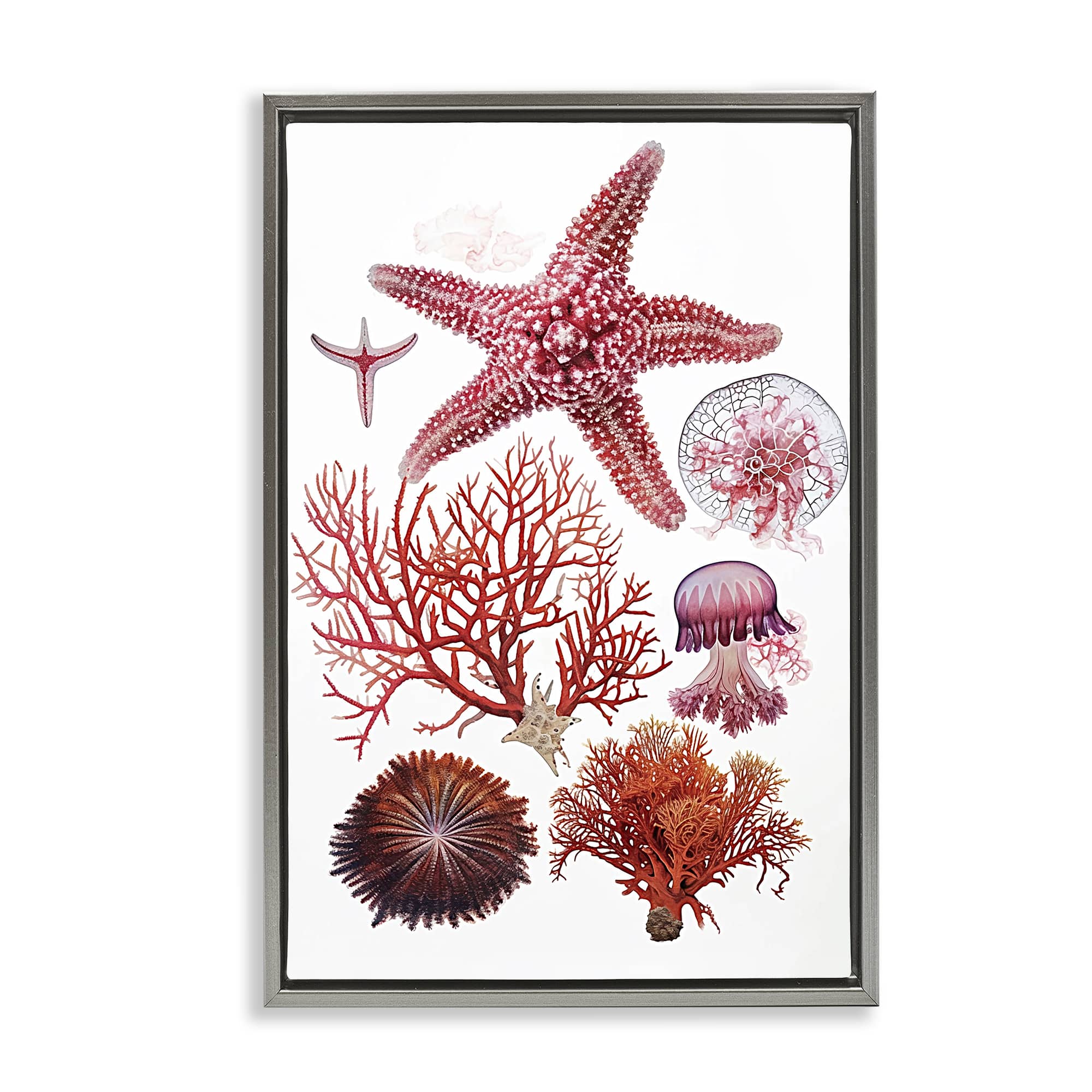 Stupell Industries BS-963-FFL-16X24 Rosy Undersea Creatures Gray Framed Floater Canvas Wall Art By Ramona Murdock 17 x 25