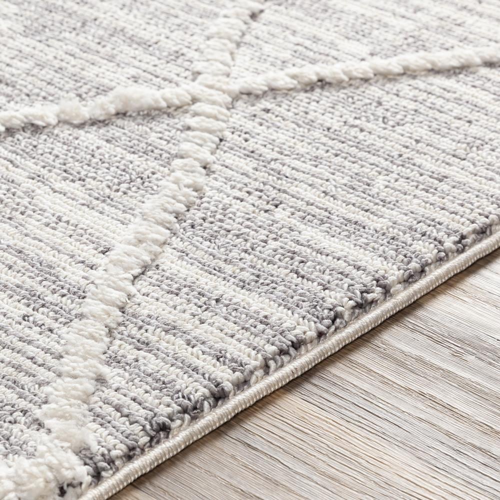 Surya AZI2304-2776 rugs - View #4