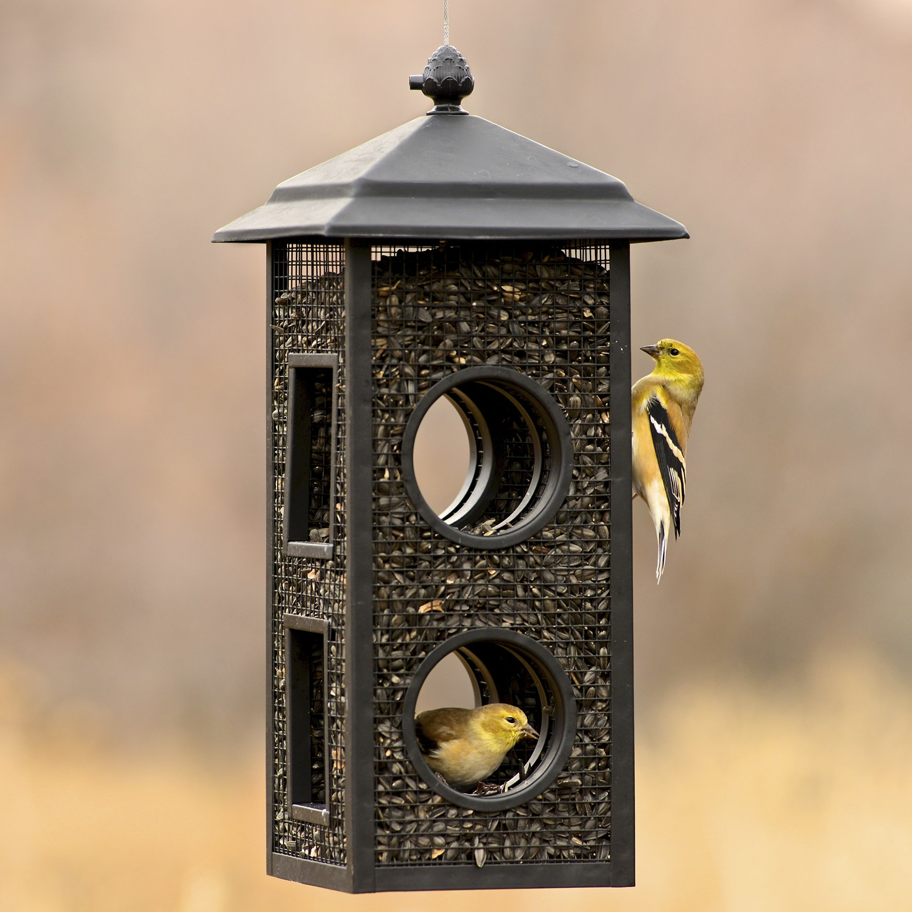 Perky-Pet B00303-2 Bird-Feeders - View #2