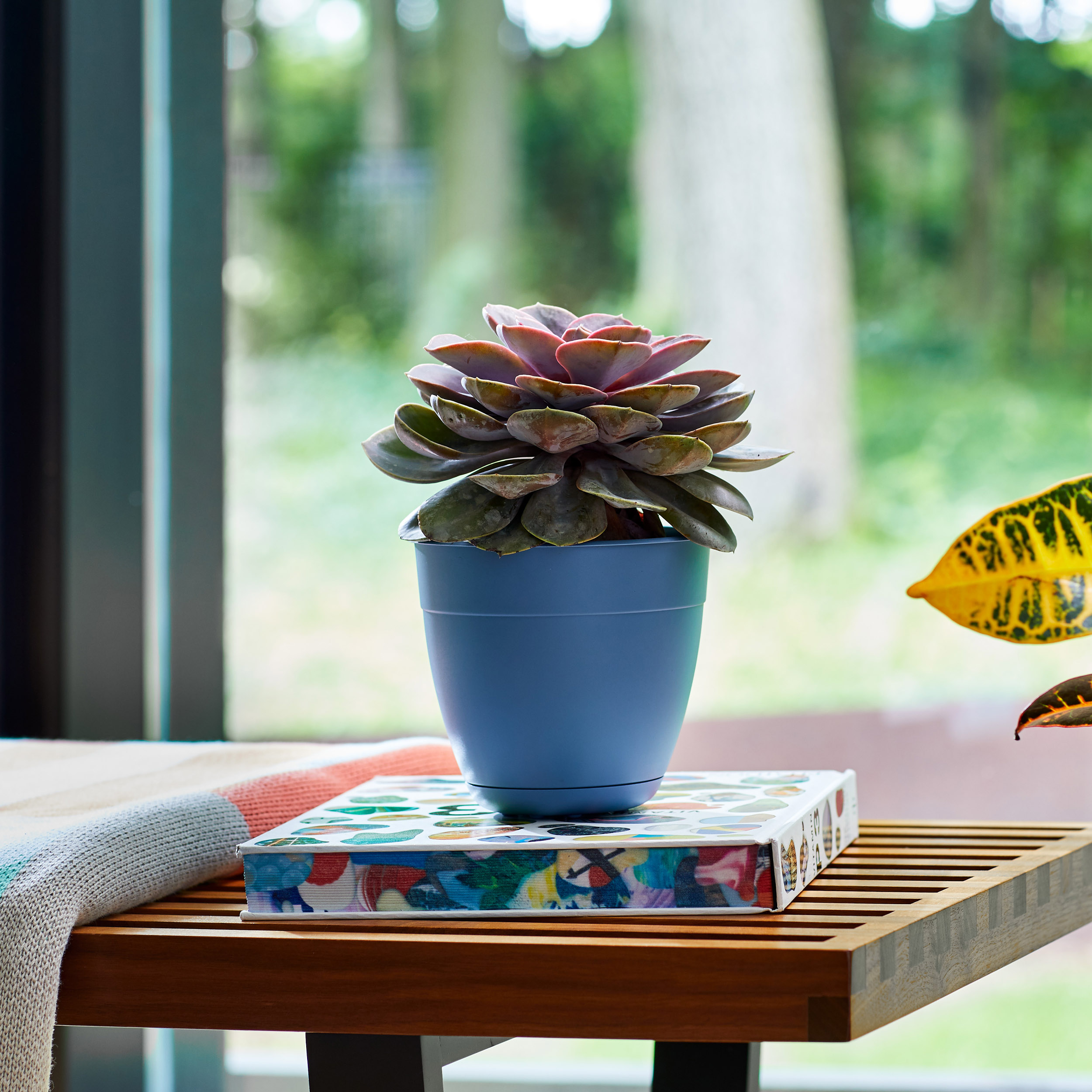 Ocean Blue Round Self-Watering Plastic Planter with Saucer