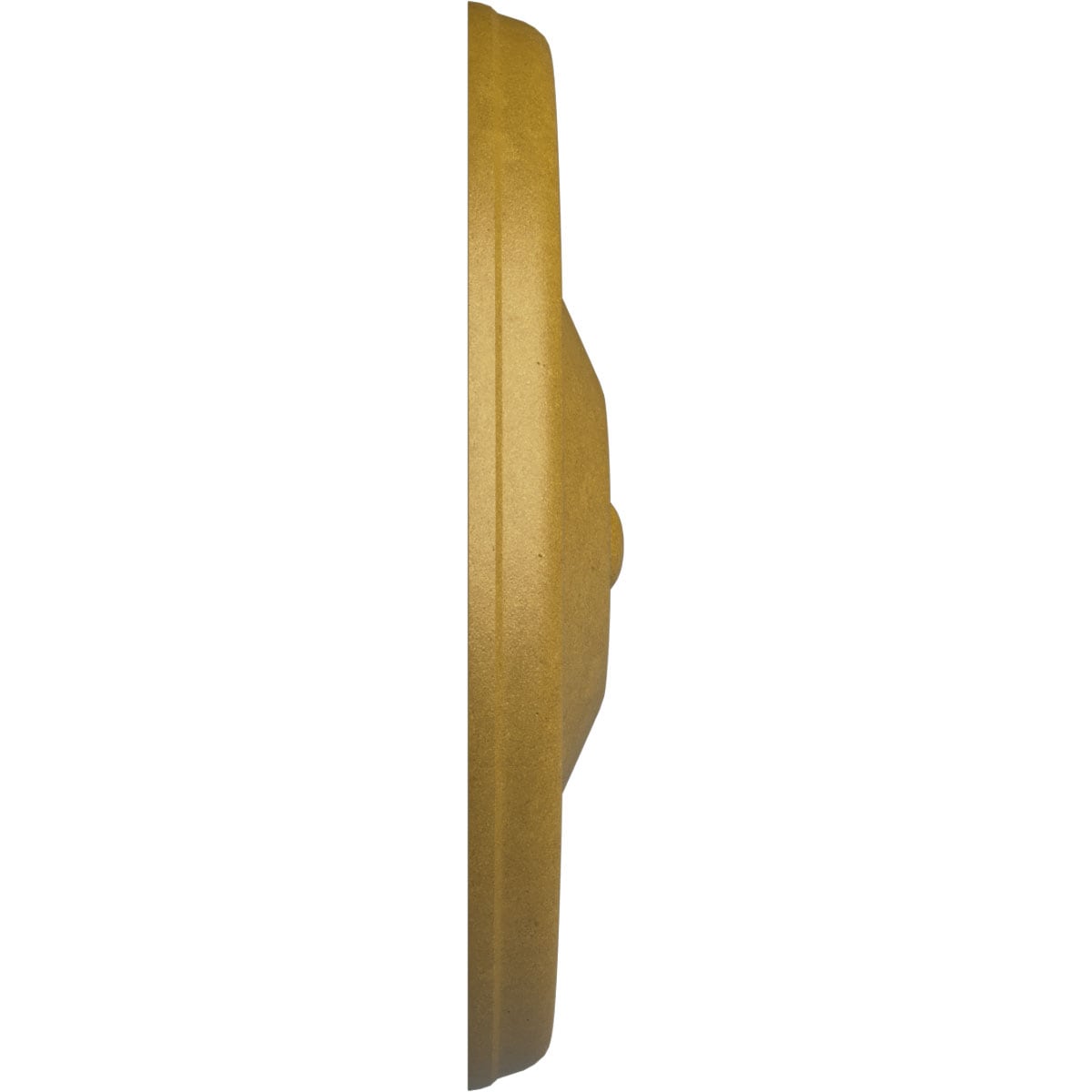 Ekena Millwork CM12REPGS Ceiling-Medallions - View #3