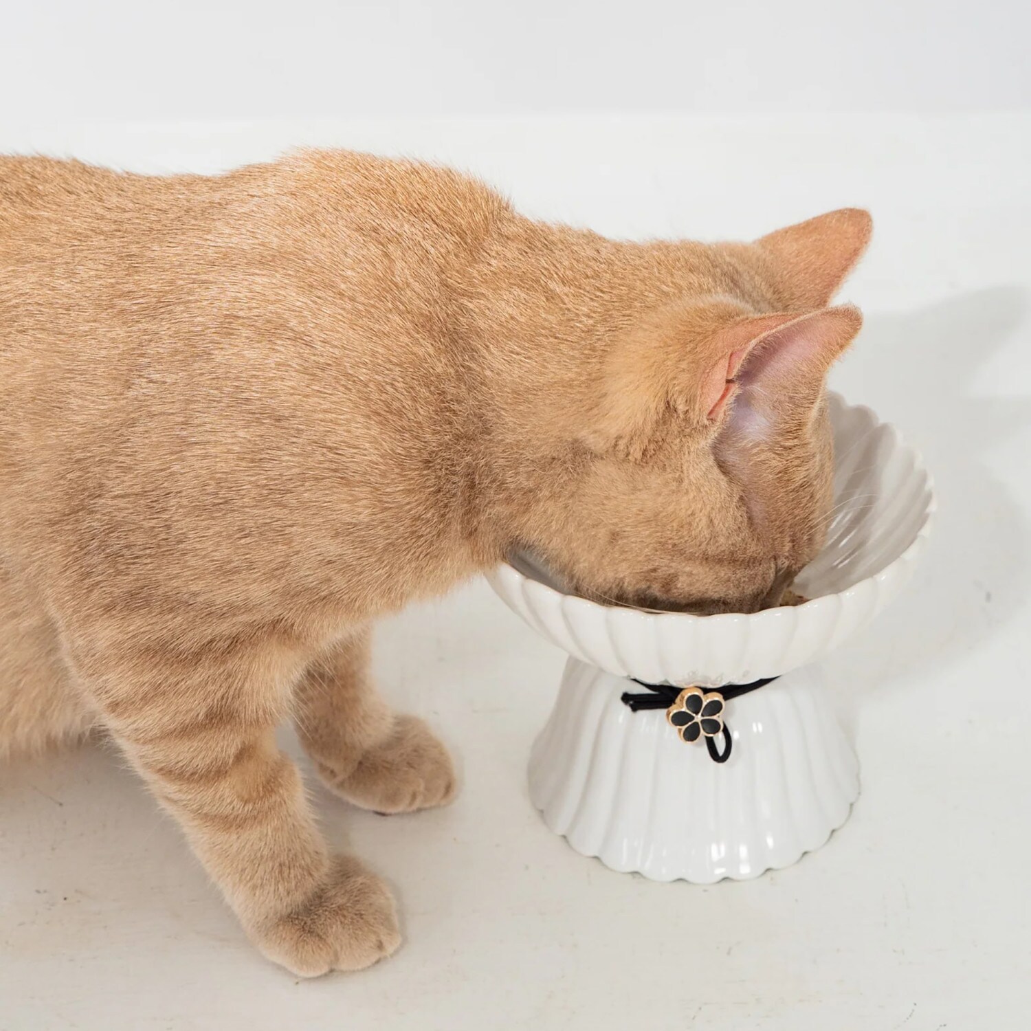 Dexypaws G0871789002147 Pet-Bowls - Thumbnail View #6
