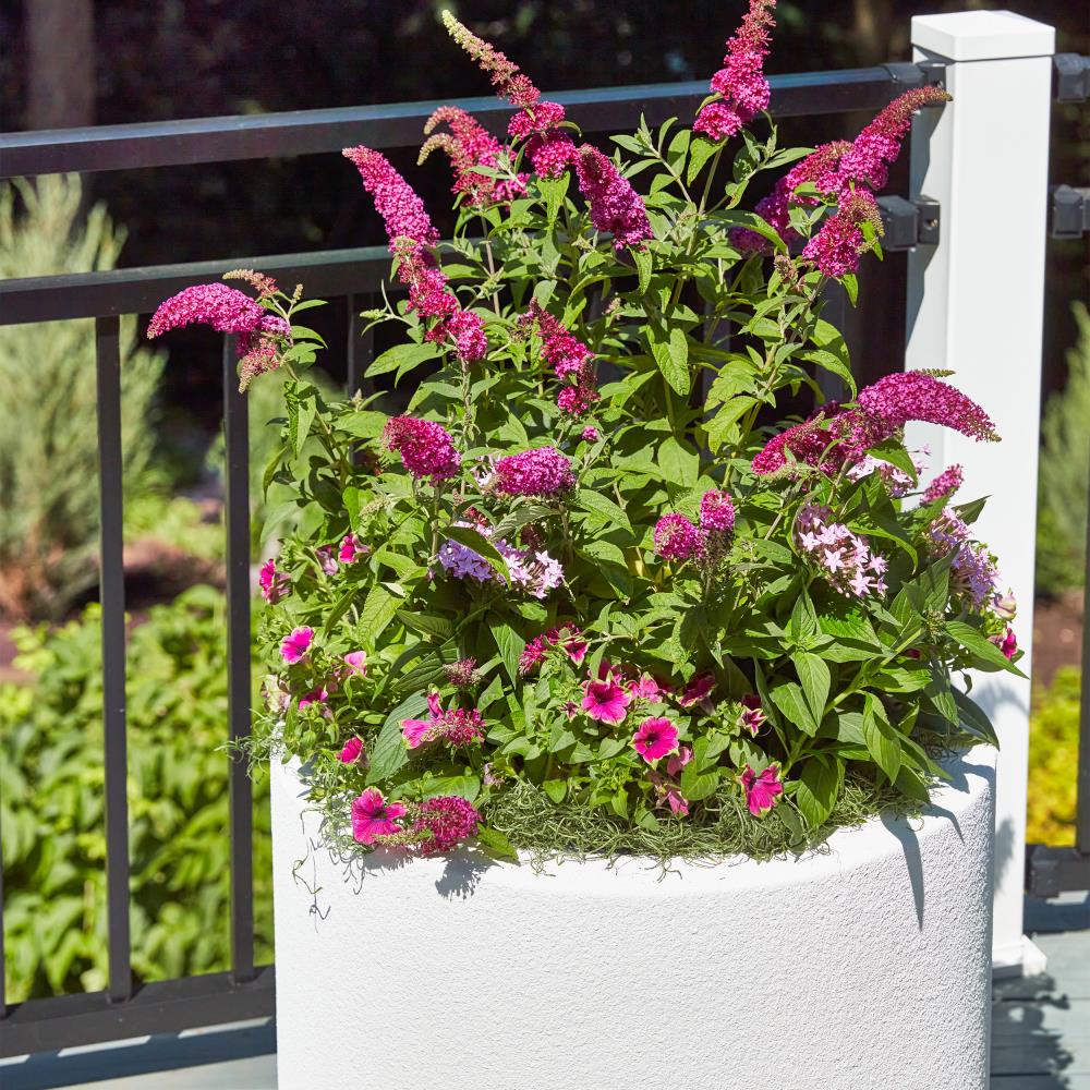 PolyStone Planters 4009 Planter-Window-Box - View #13