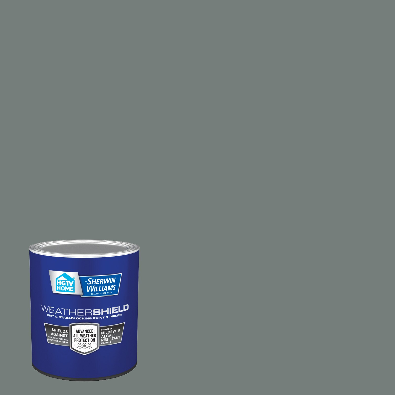 HGTV HOME by Sherwin-Williams Weathershield Satin Coastal Dusk 5002-2b ...