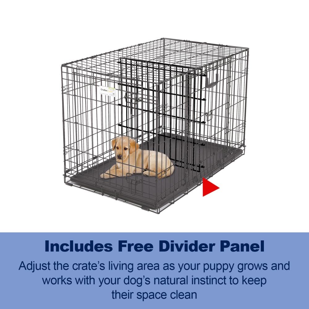 Ovation 2024 dog crate