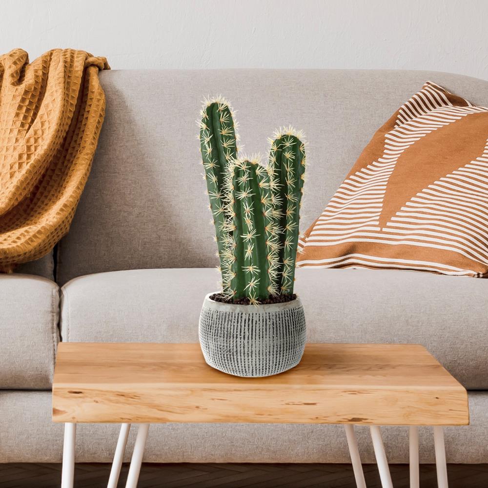 Nature Spring 509424ZRY 22-in Multi Colored Indoor Cactus Artificial Plant