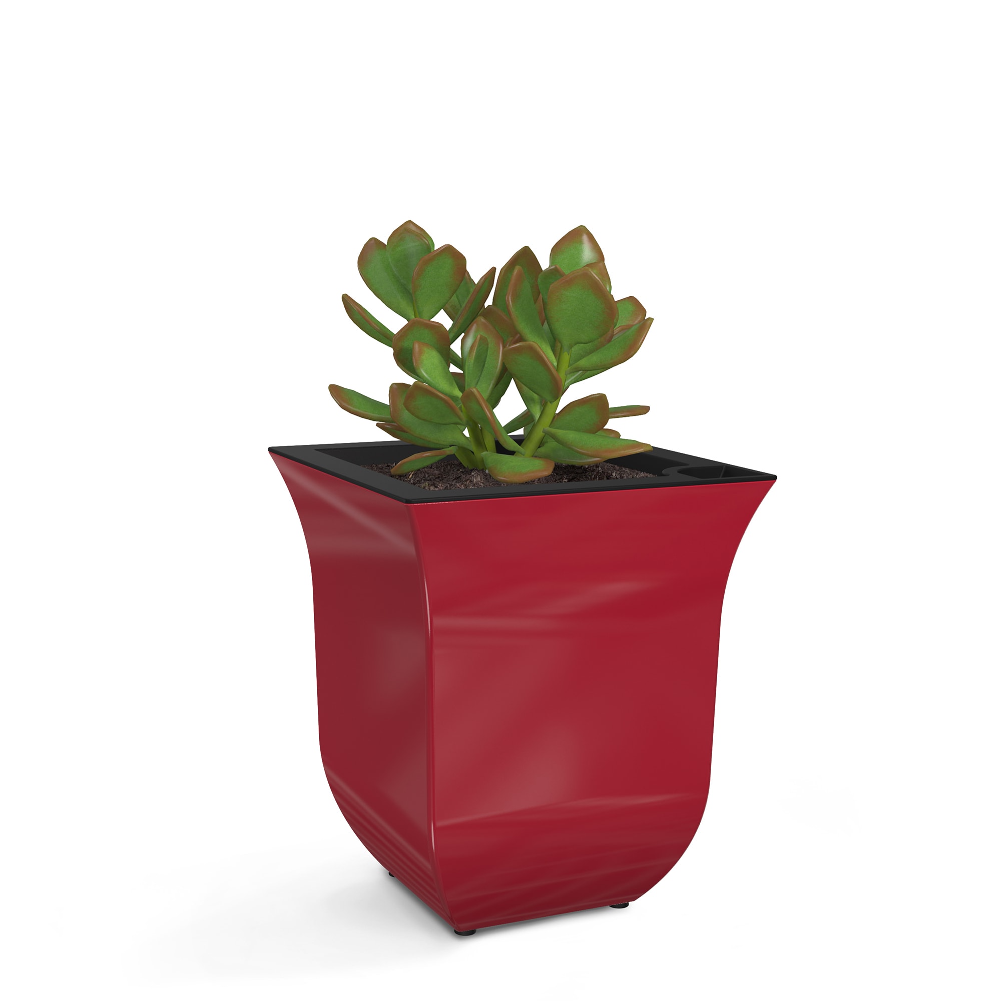 Mayne 3870-R Square 7-in W Small Red Plastic Contemporary/Modern Indoor/Outdoor Planter with Drainage Holes with Self Watering