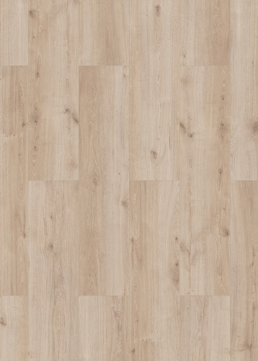 allen + roth Sierra Pale Oak 8-mm T x 8-in W x 50-in L Water Resistant Wood Plank Laminate Flooring (23.92-sq ft) in Gray | 56097