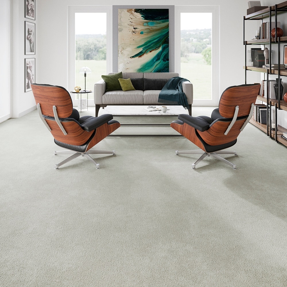 STAINMASTER PetProtect SS005-L001-0808 Carpet-Samples - View #5