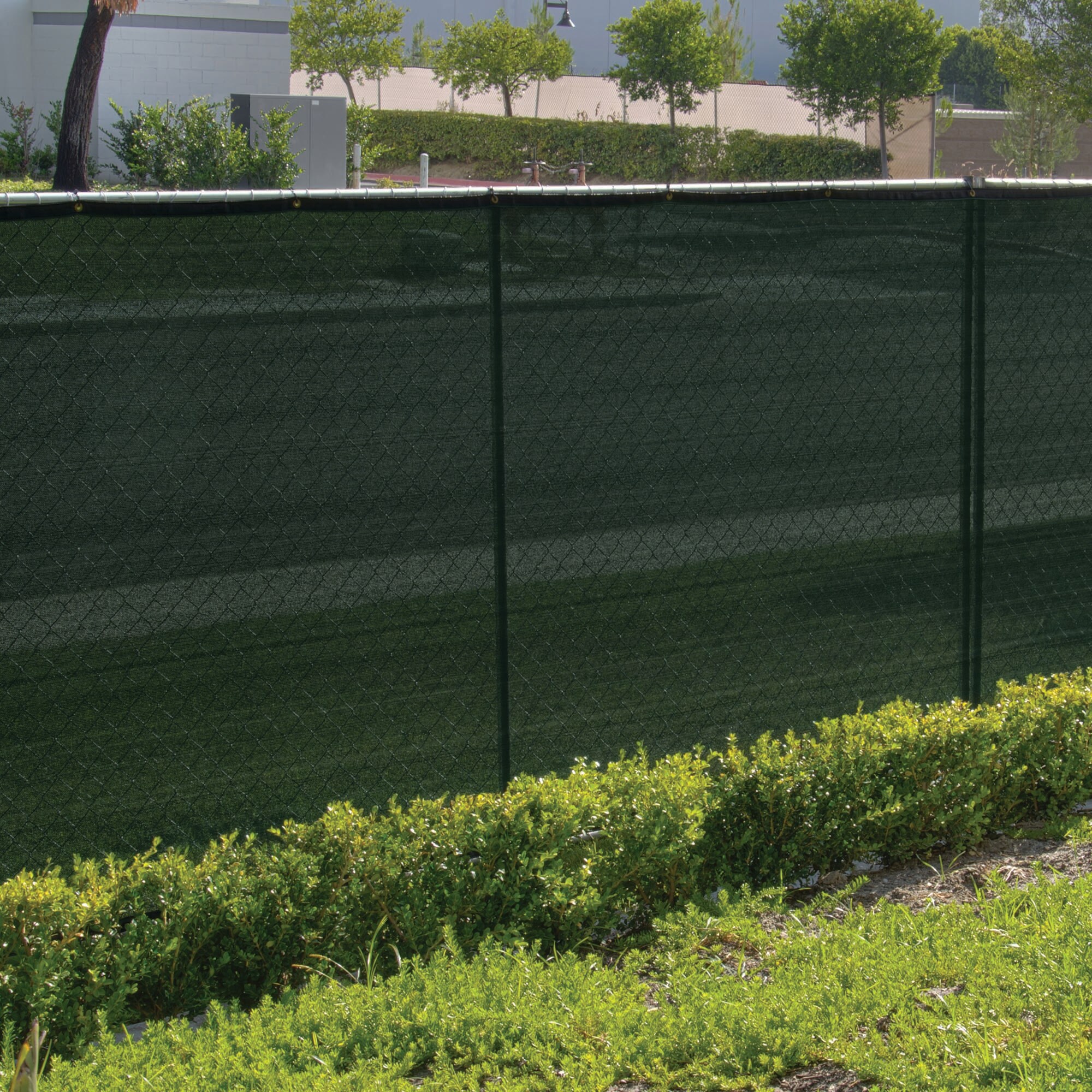 FenceScreen 6-ft x 50-ft L Forest Green HDPE Chain Link Fence Screen in ...