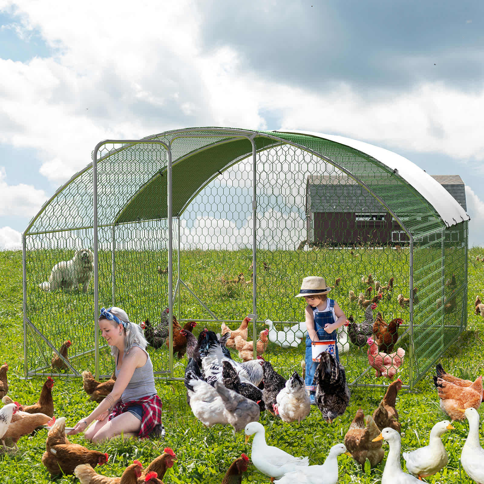 Qeetex GGL-PHO-159PP50I Chicken-Coops-Rabbit-Hutches - View #2